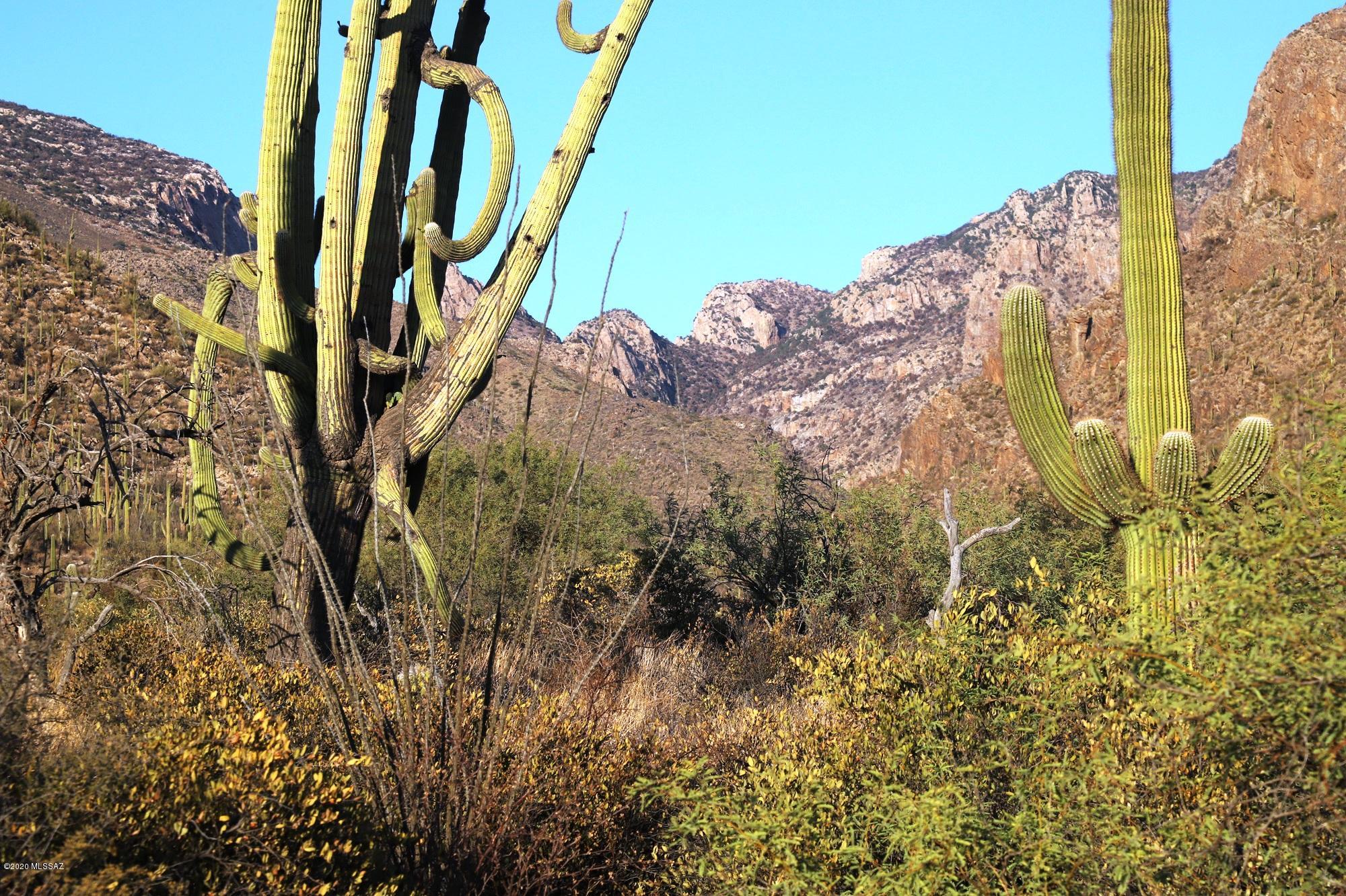 Pima Canyon Estates (30,33,96-102,115,124-127,136-139,147-151,16) - Land
