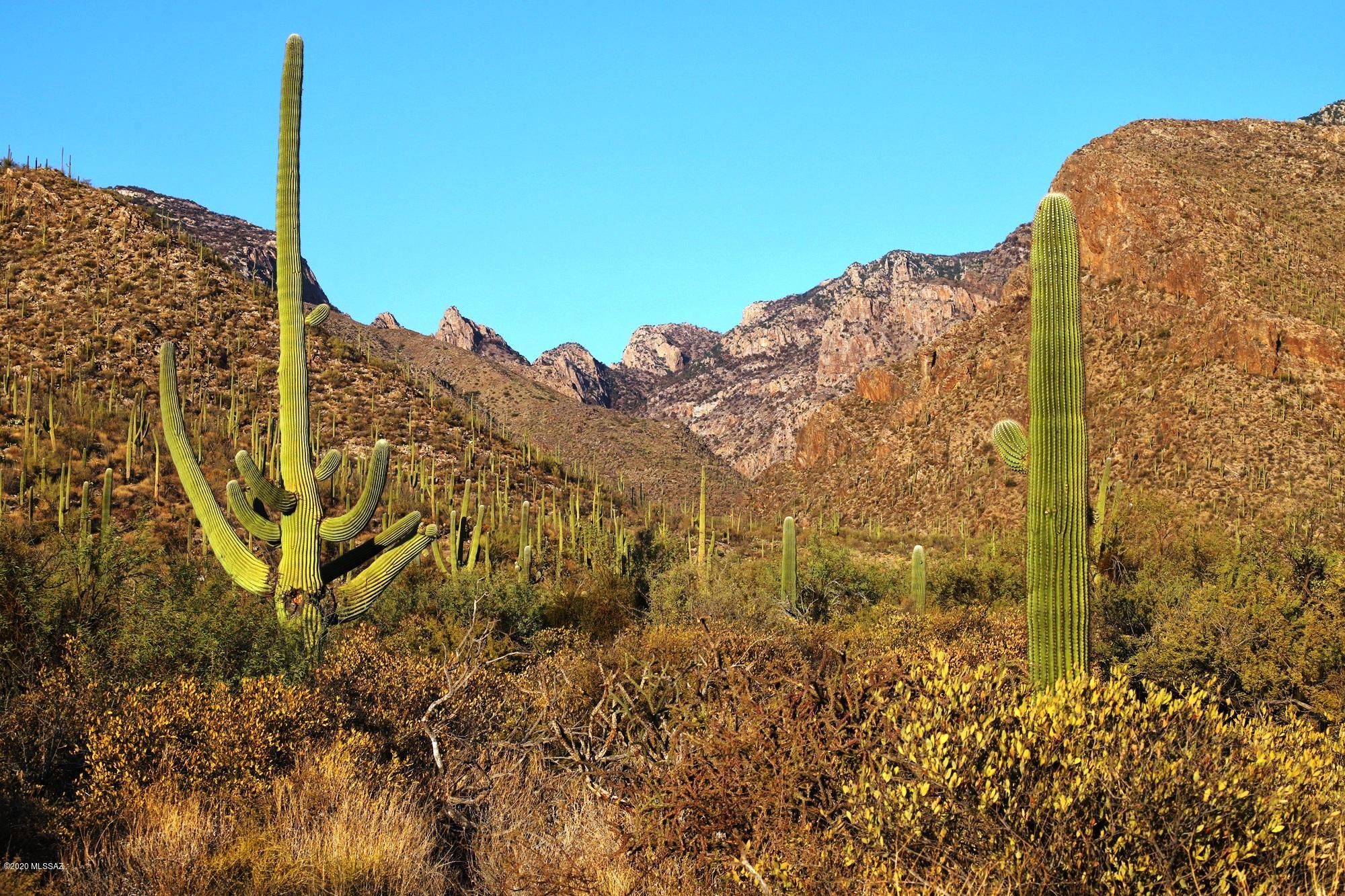Pima Canyon Estates (30,33,96-102,115,124-127,136-139,147-151,16) - Land