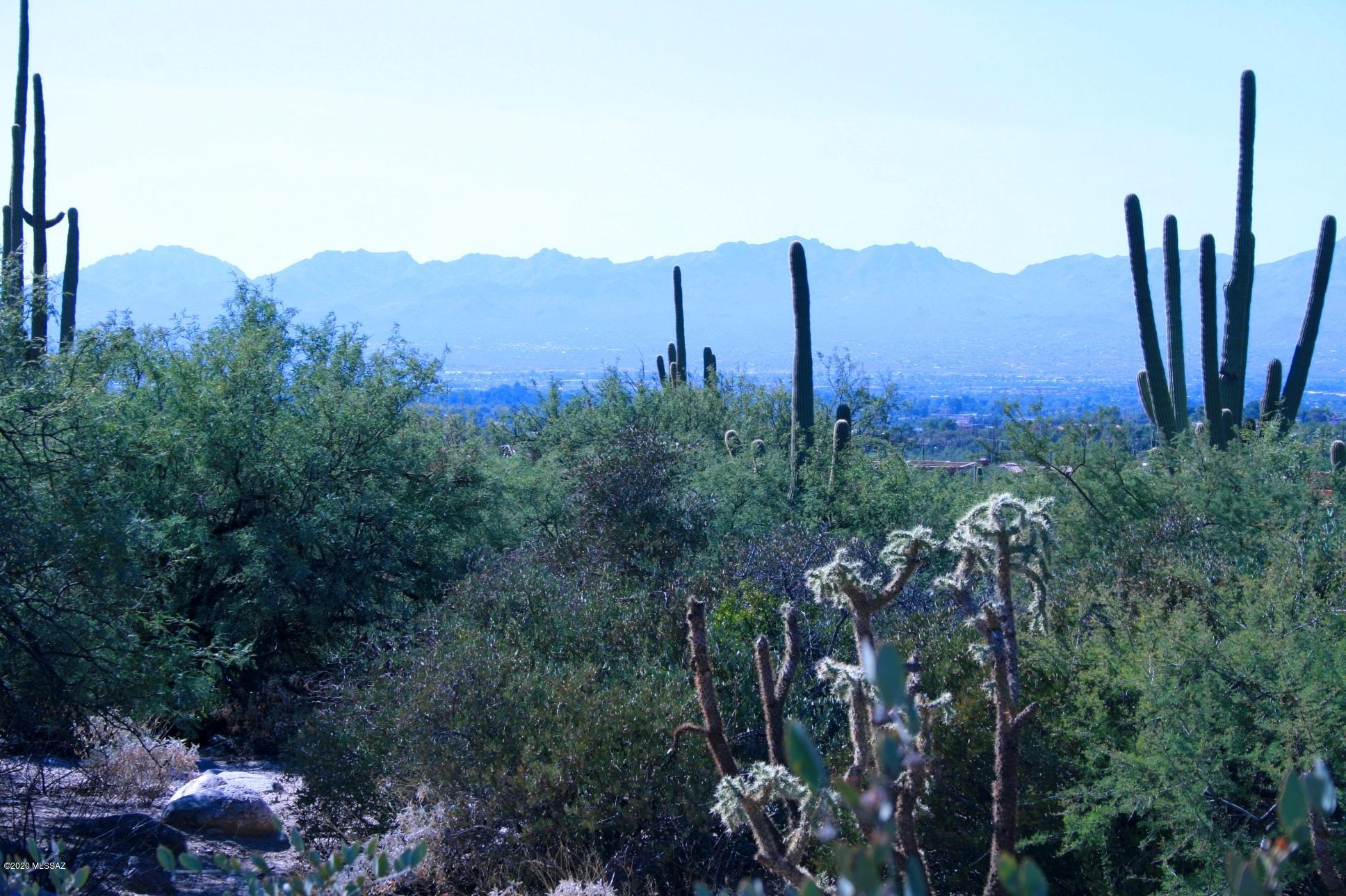 Pima Canyon Estates (30,33,96-102,115,124-127,136-139,147-151,16) - Land