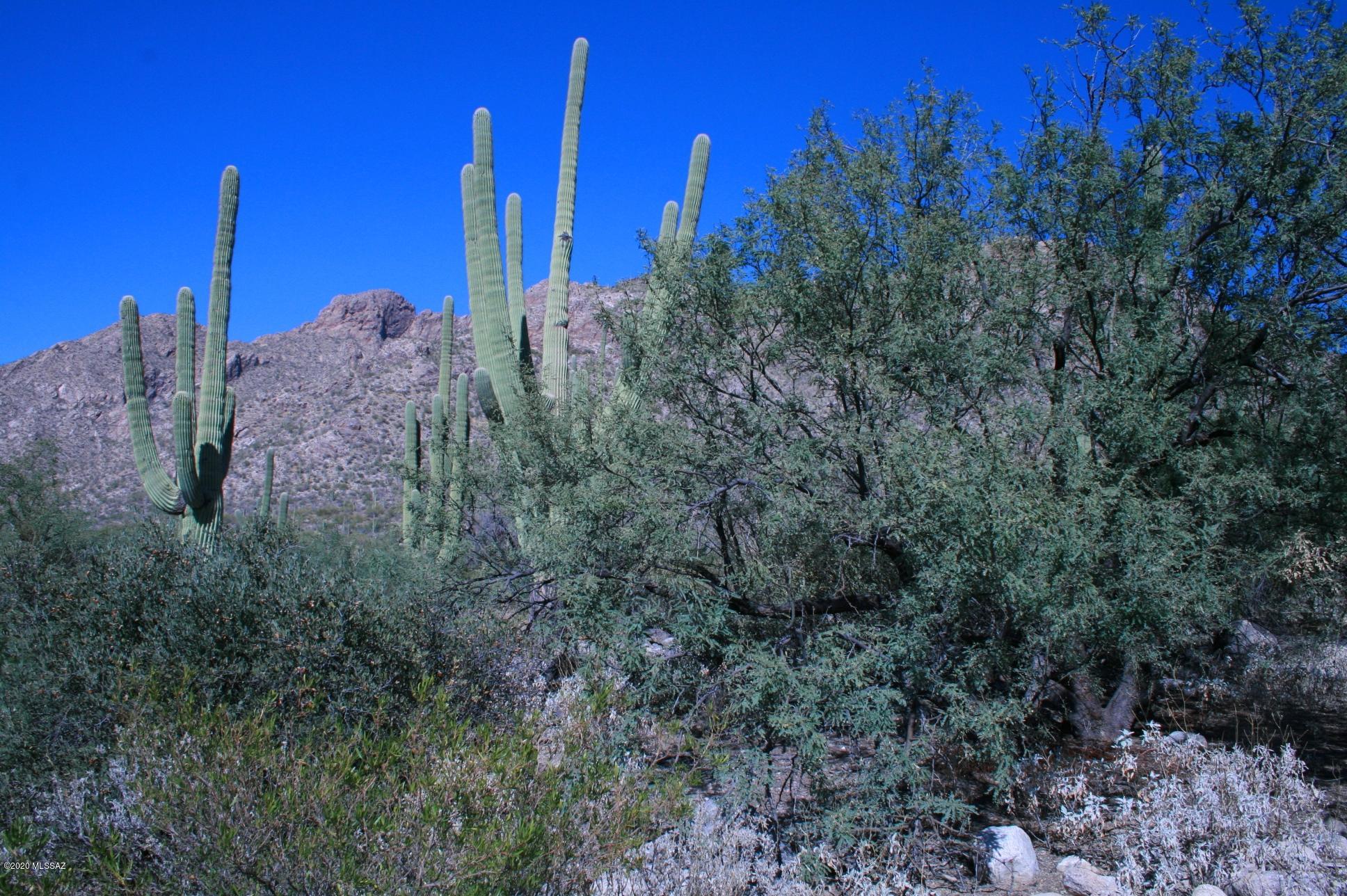 Pima Canyon Estates (30,33,96-102,115,124-127,136-139,147-151,16) - Land