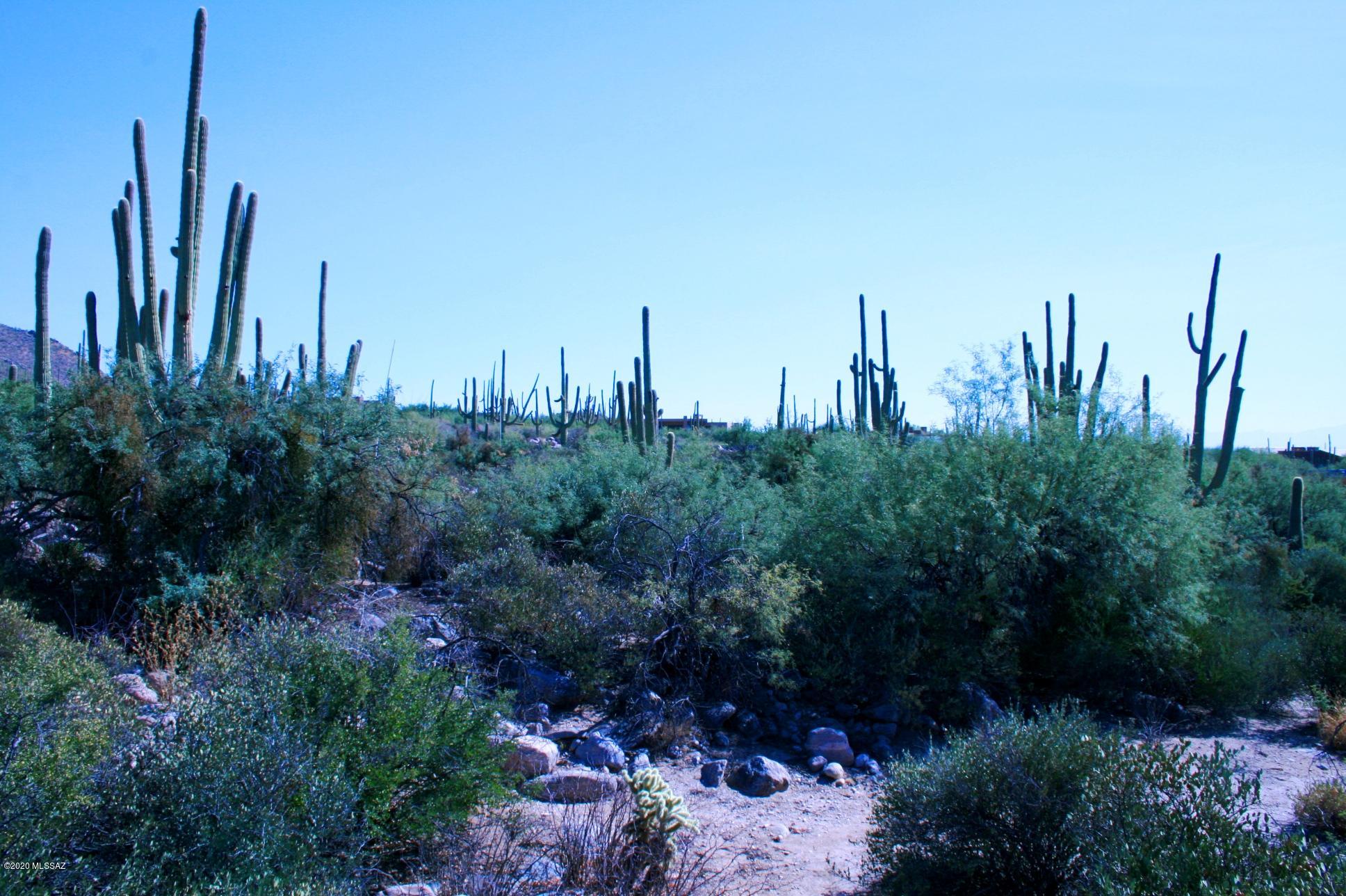 Pima Canyon Estates (30,33,96-102,115,124-127,136-139,147-151,16) - Land
