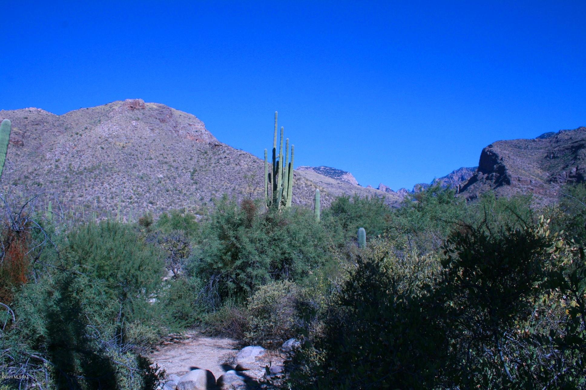 Pima Canyon Estates (30,33,96-102,115,124-127,136-139,147-151,16) - Land