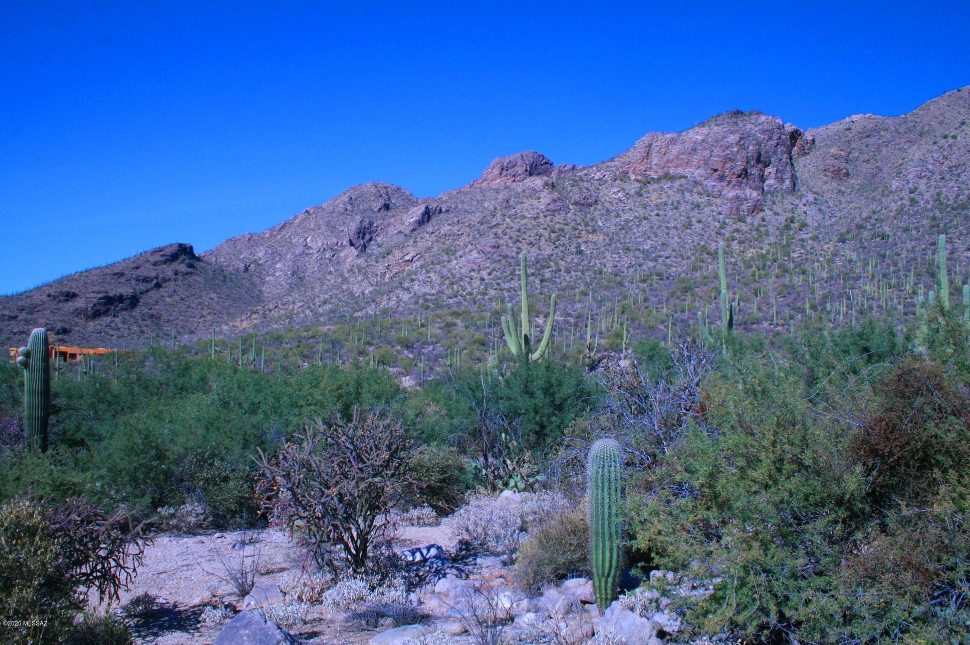 Pima Canyon Estates (30,33,96-102,115,124-127,136-139,147-151,16) - Land