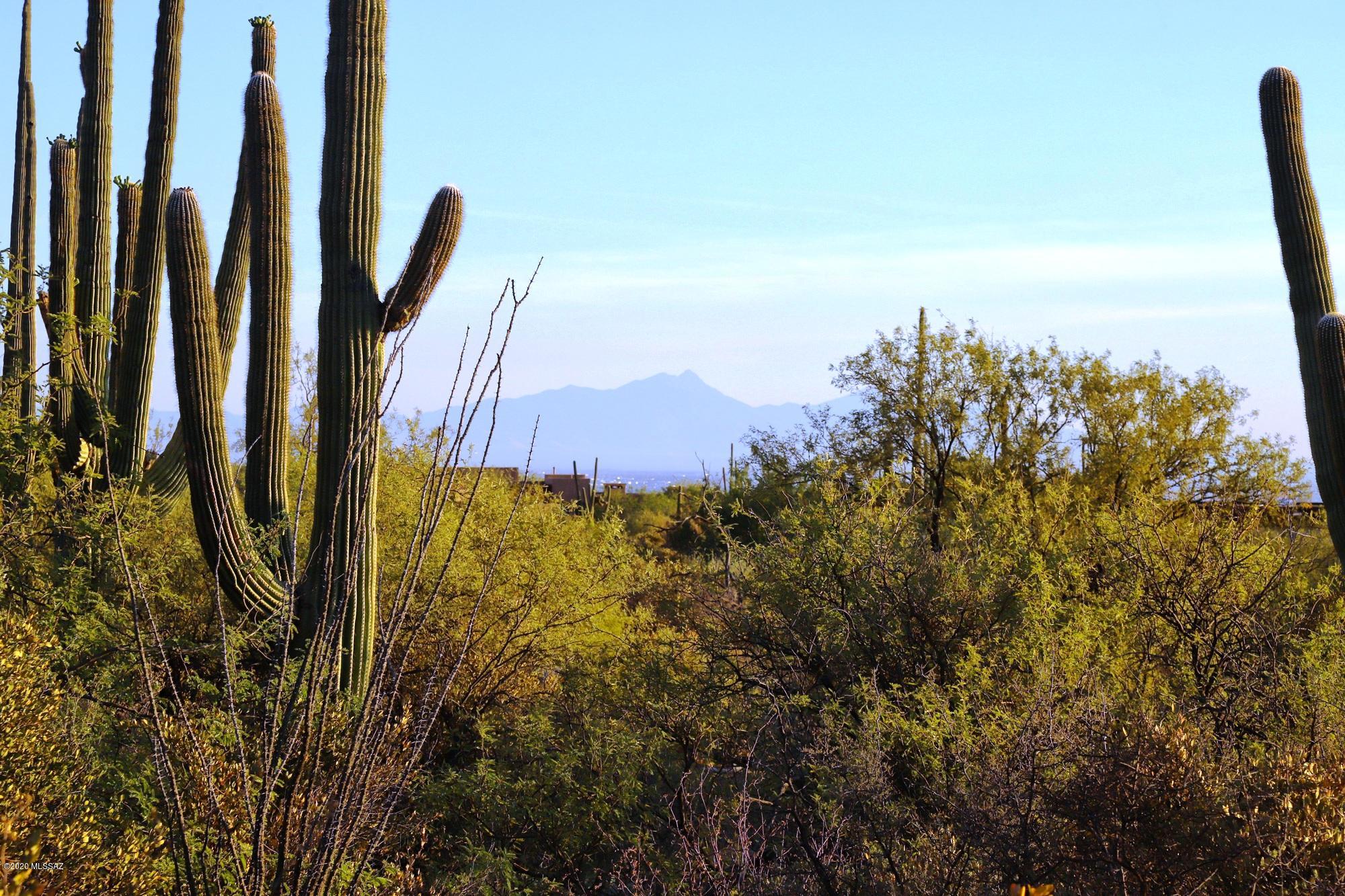 Pima Canyon Estates (30,33,96-102,115,124-127,136-139,147-151,16) - Land
