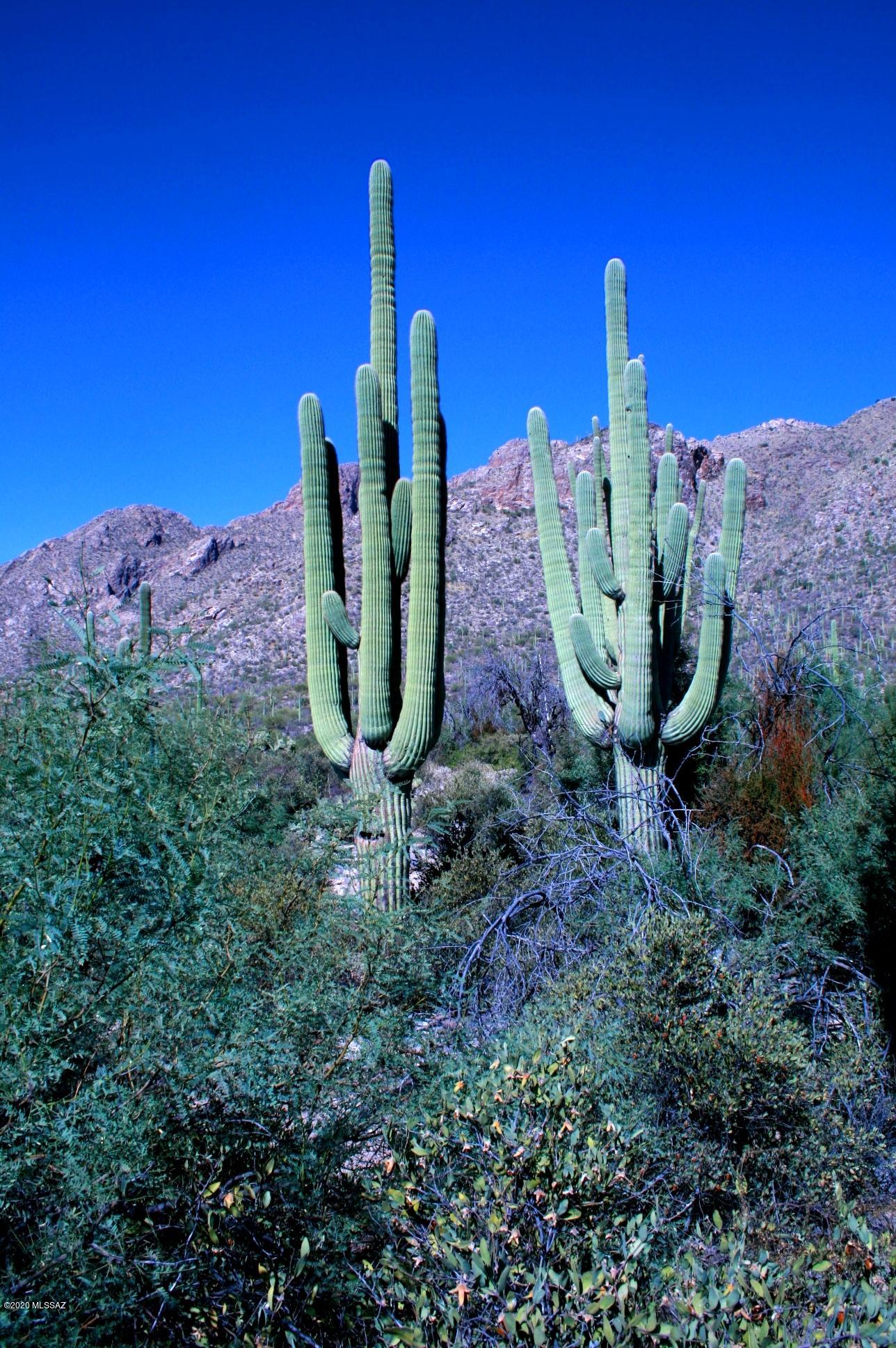 Pima Canyon Estates (30,33,96-102,115,124-127,136-139,147-151,16) - Land