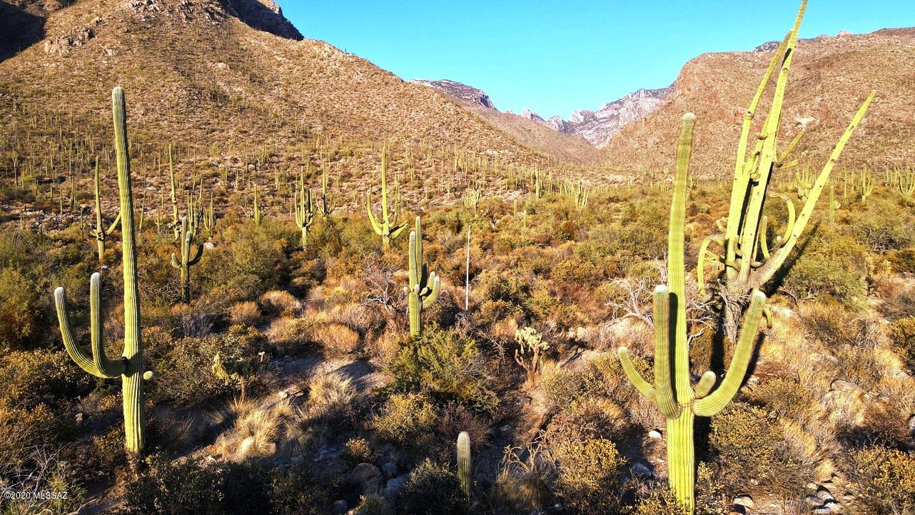 Pima Canyon Estates (30,33,96-102,115,124-127,136-139,147-151,16) - Land