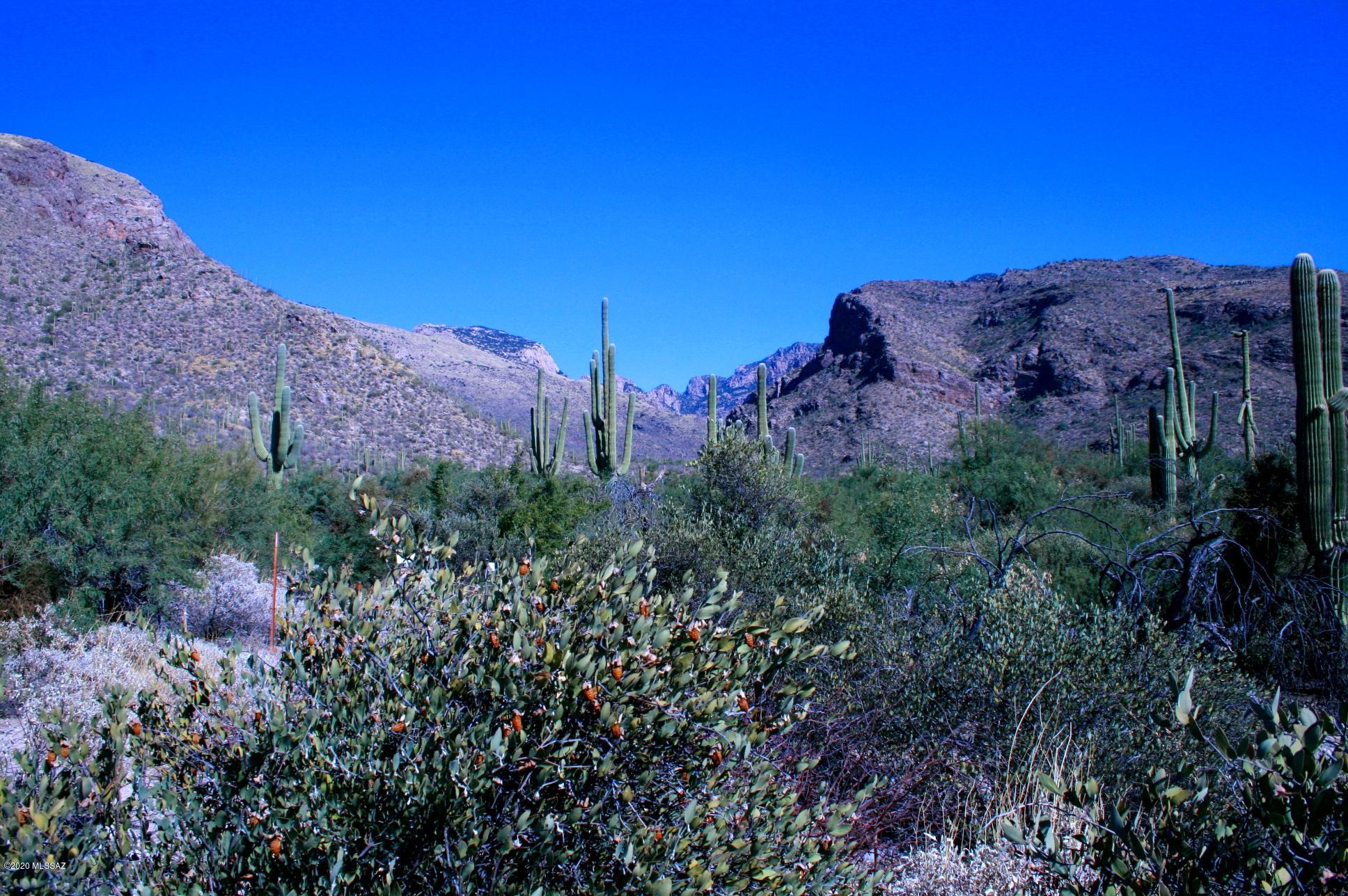 Pima Canyon Estates (30,33,96-102,115,124-127,136-139,147-151,16) - Land