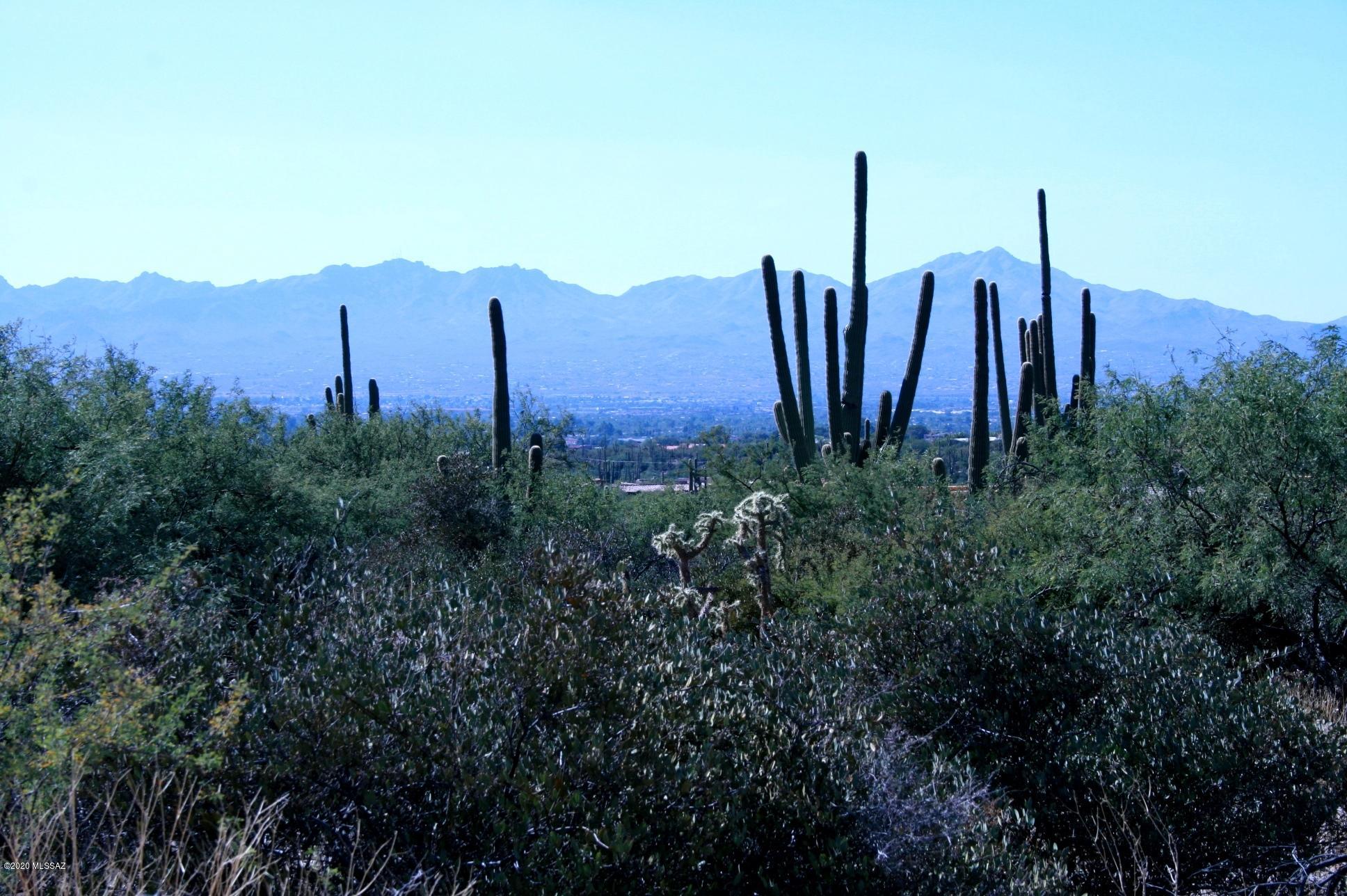 Pima Canyon Estates (30,33,96-102,115,124-127,136-139,147-151,16) - Land