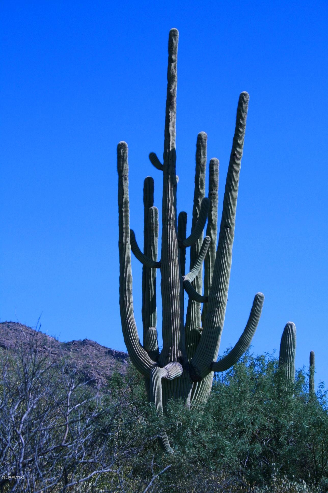 Pima Canyon Estates (30,33,96-102,115,124-127,136-139,147-151,16) - Land