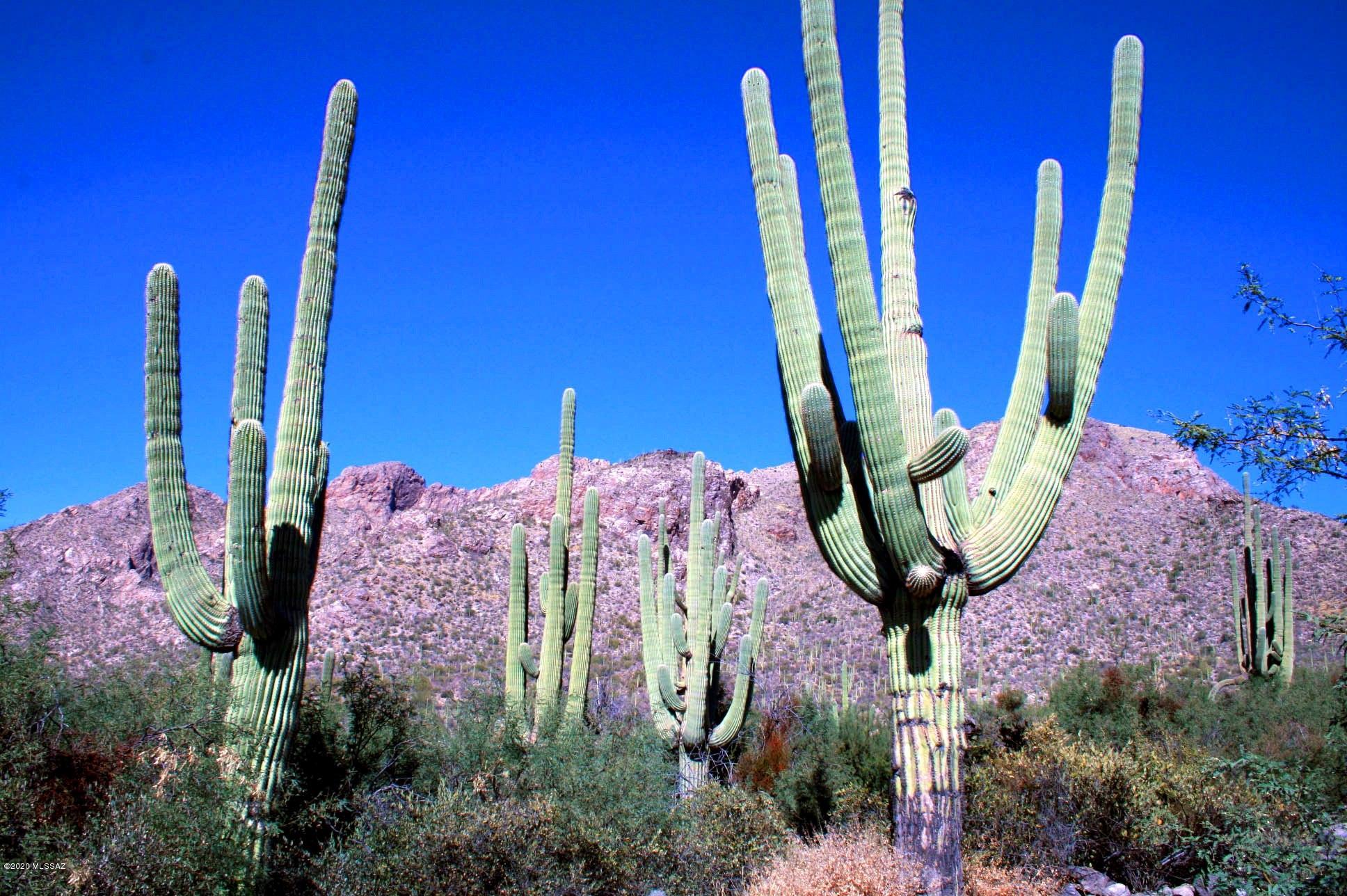 Pima Canyon Estates (30,33,96-102,115,124-127,136-139,147-151,16) - Land