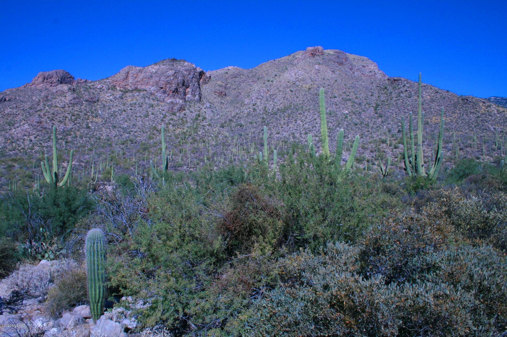 Pima Canyon Estates (30,33,96-102,115,124-127,136-139,147-151,16) - Land