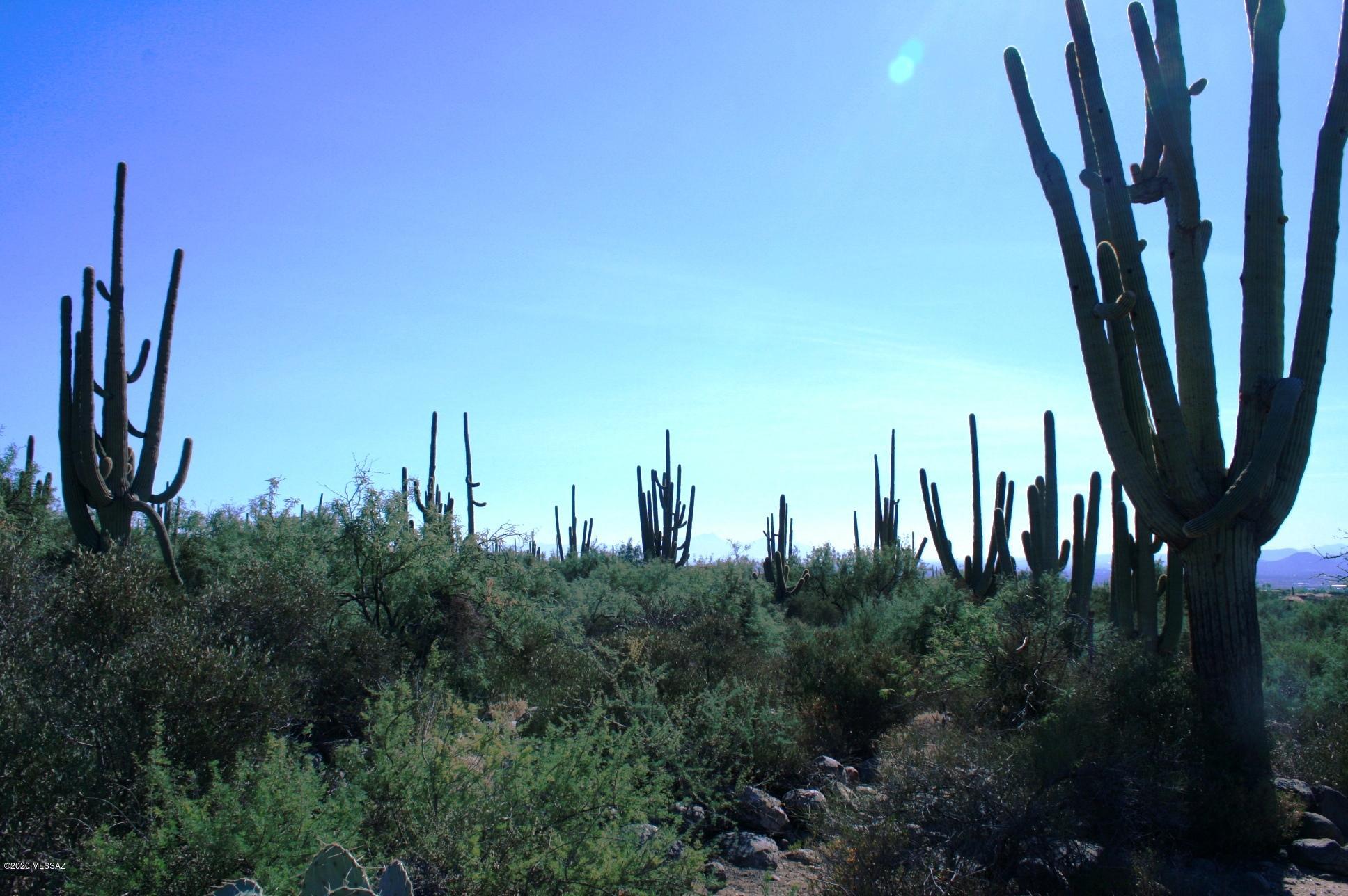 Pima Canyon Estates (30,33,96-102,115,124-127,136-139,147-151,16) - Land