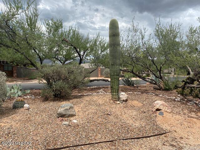 Powder Horn Ranch (1-58) - Residential