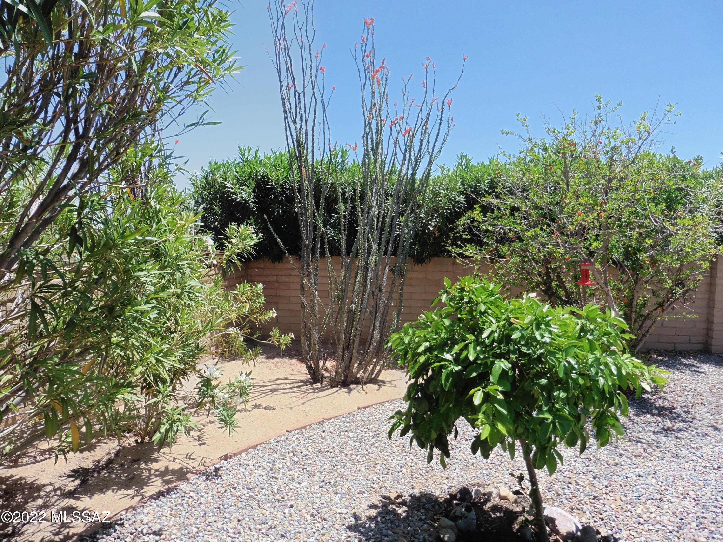 Colonia De Los Alamos (BK1-45) - Residential