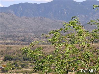 Lake Patagonia Ranch - Land