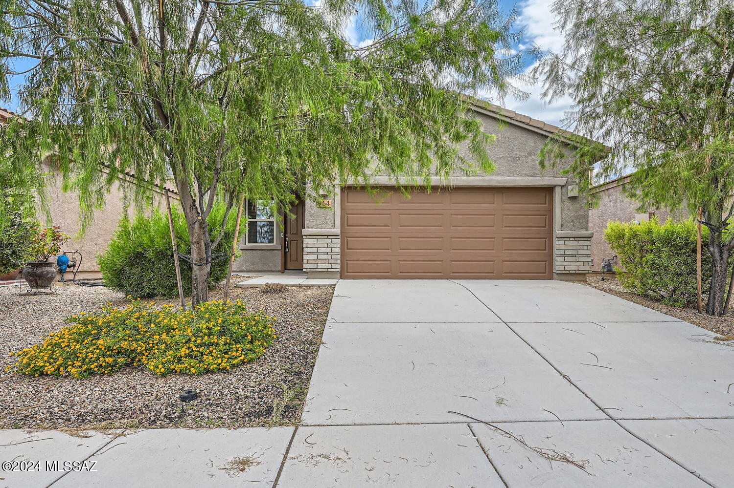 View Sahuarita, AZ 85629 house