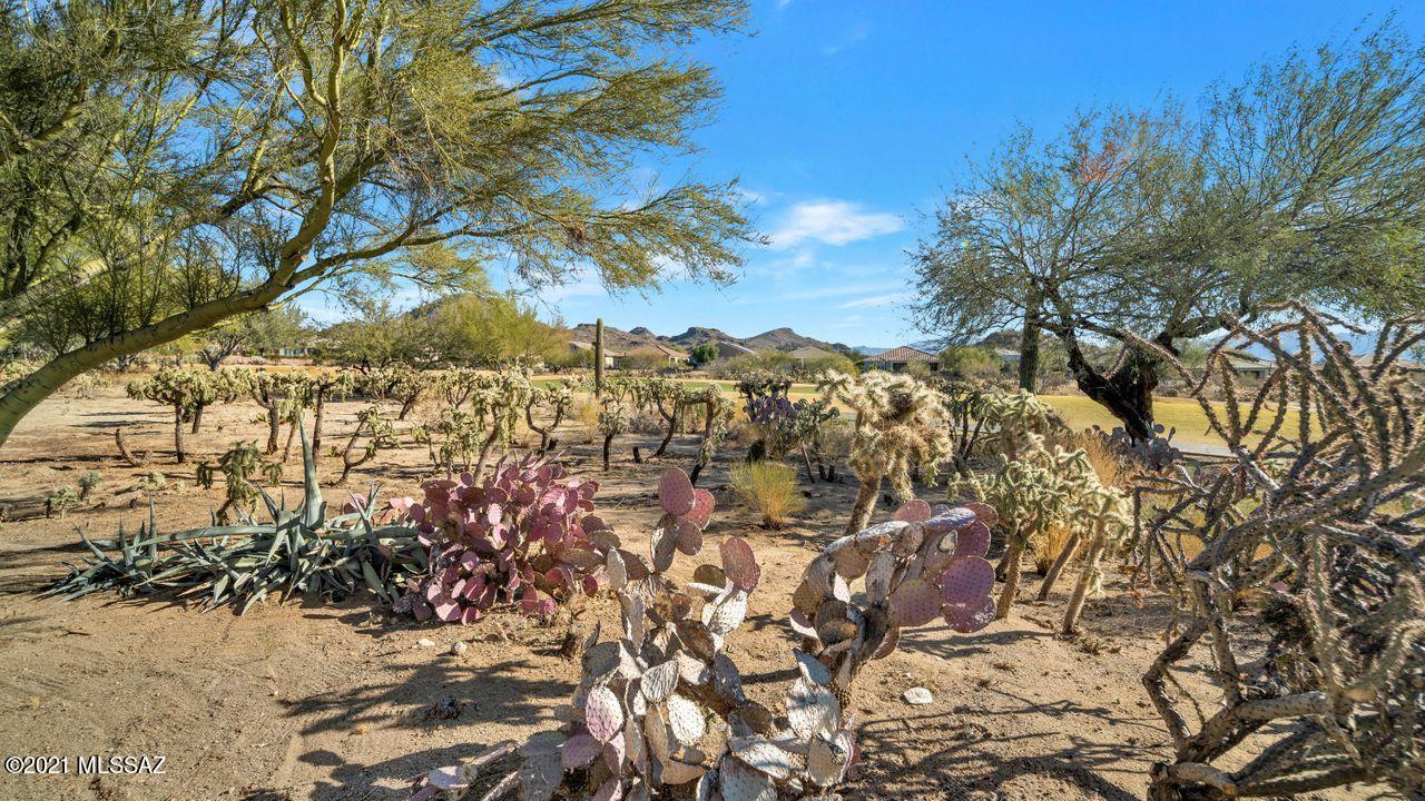 Heritage Highlands II at Dove Mountain (393-541) - Residential