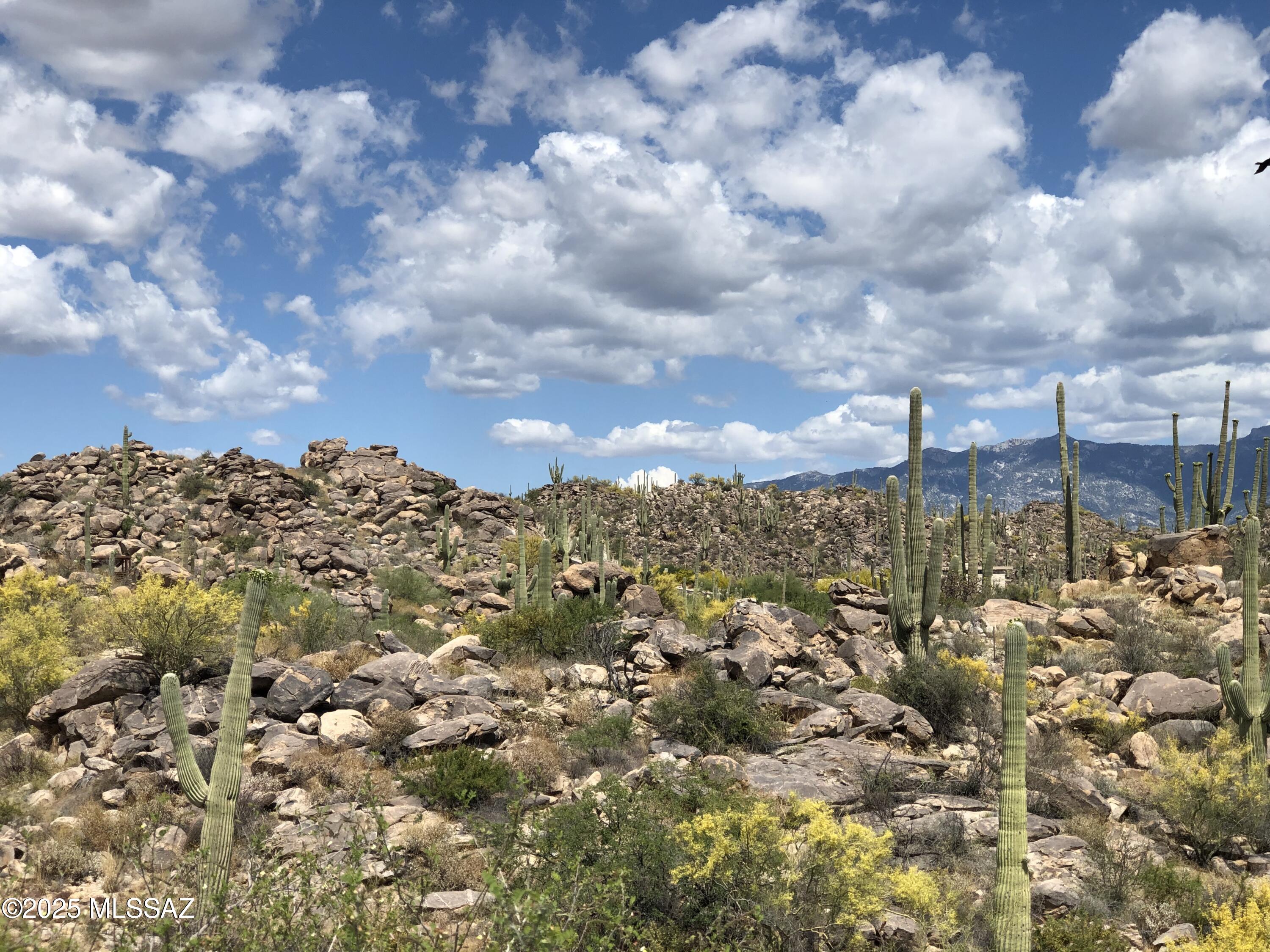 1194 W Tortolita Mountain Circle W 194