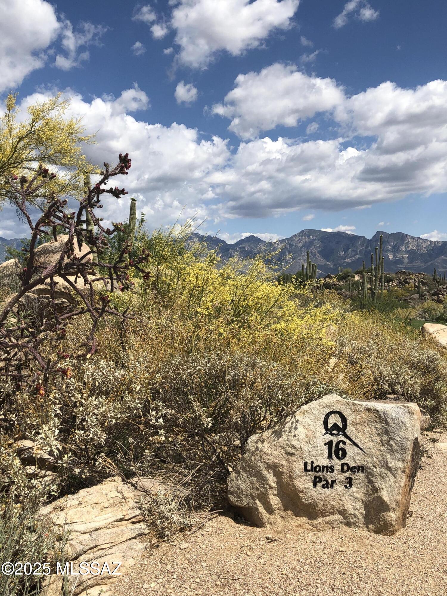 1194 W Tortolita Mountain Circle W 194