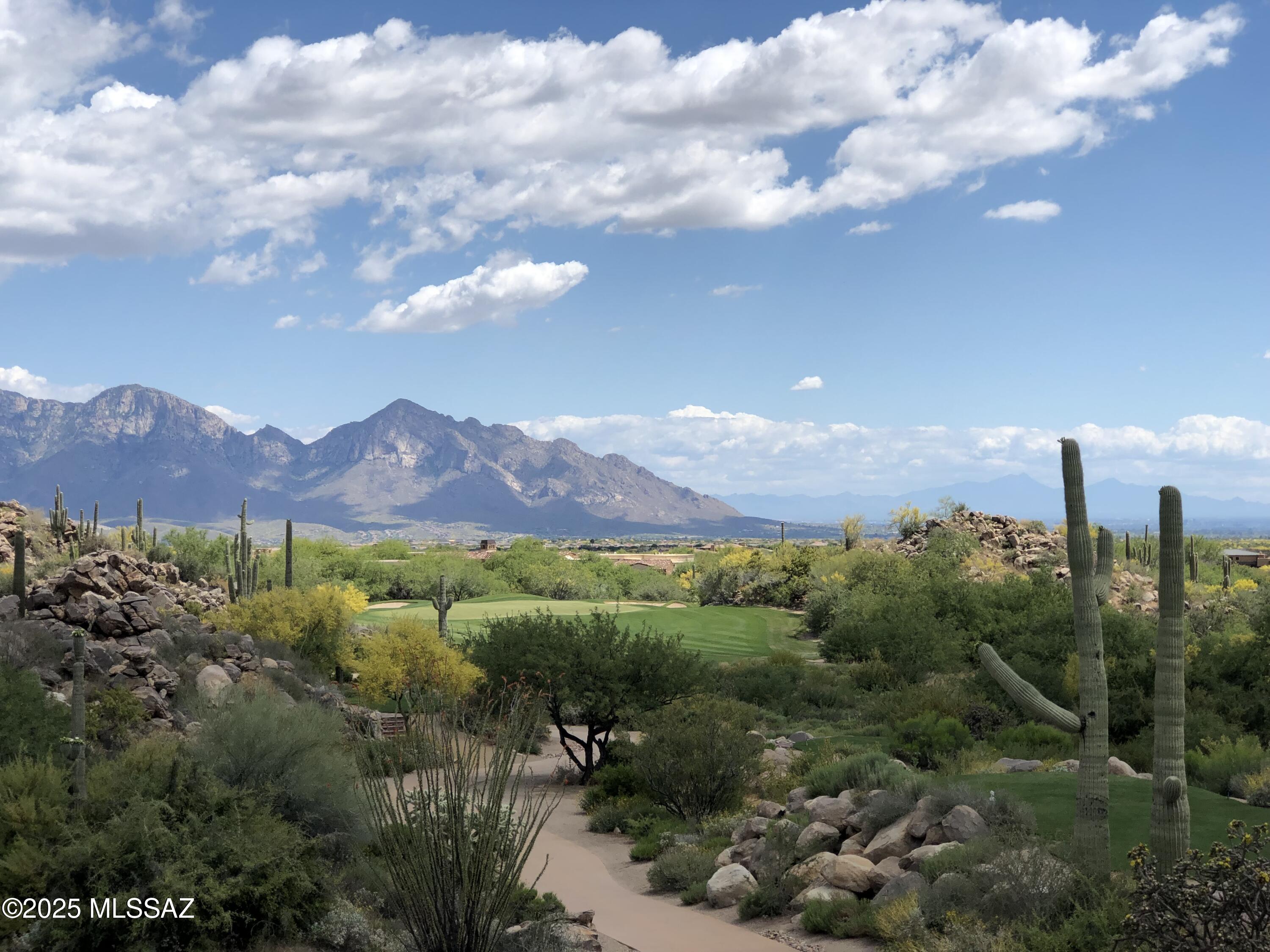 1194 W Tortolita Mountain Circle W 194