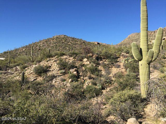 Canyon Pass At Dove Mountain(1-48) - Land