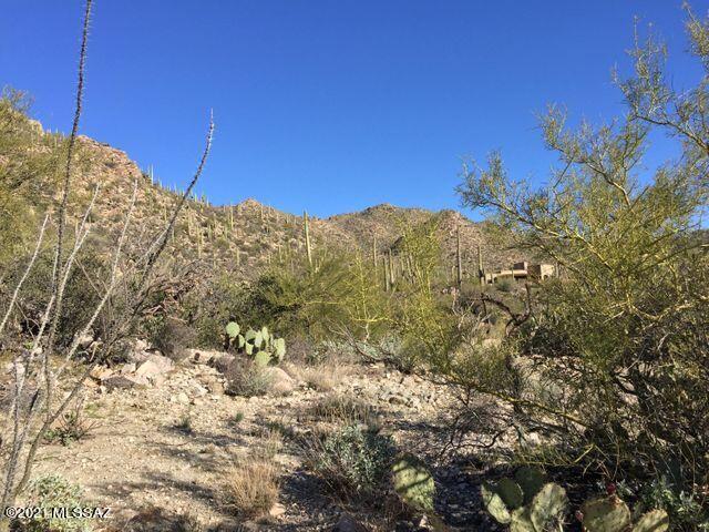 Canyon Pass At Dove Mountain(1-48) - Land