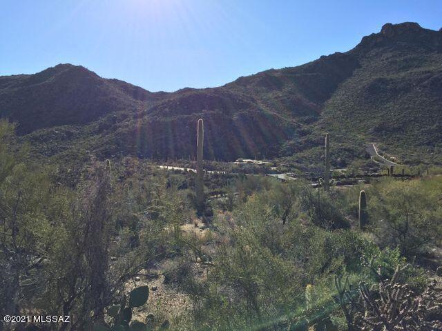 Canyon Pass At Dove Mountain(1-48) - Land