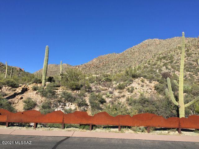 Canyon Pass At Dove Mountain(1-48) - Land