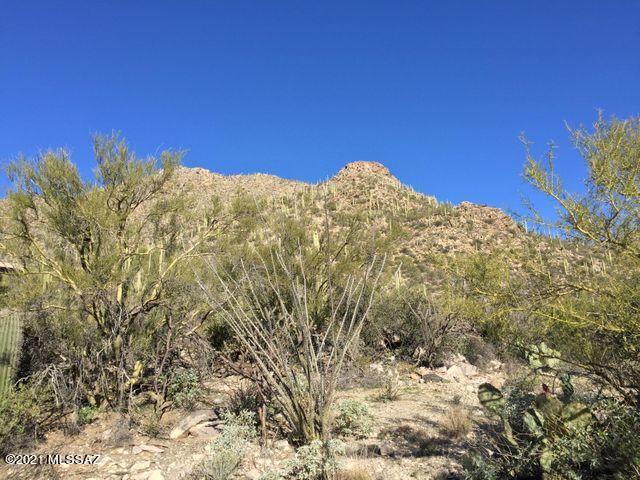 Canyon Pass At Dove Mountain(1-48) - Land