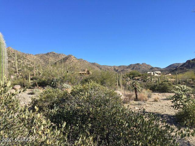 Canyon Pass At Dove Mountain(1-48) - Land