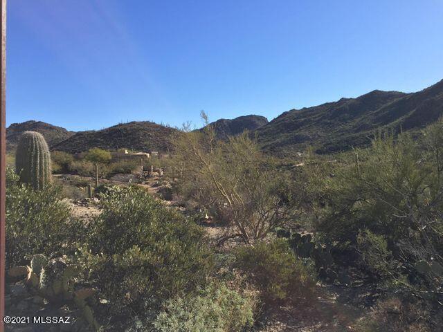 Canyon Pass At Dove Mountain(1-48) - Land