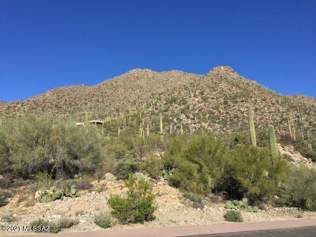 Canyon Pass At Dove Mountain(1-48) - Land
