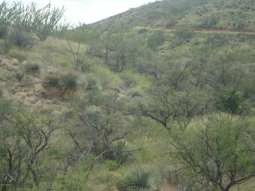 Beautiful lot in the Foothills of the Santa Rita Mountains. At he end of the road. Borders Coronado National Forest land. Very quiet and secluded yet not far from town. Can be purchased alone or combined with the adjoining Lot B.
Owner willing to carry OAC.
