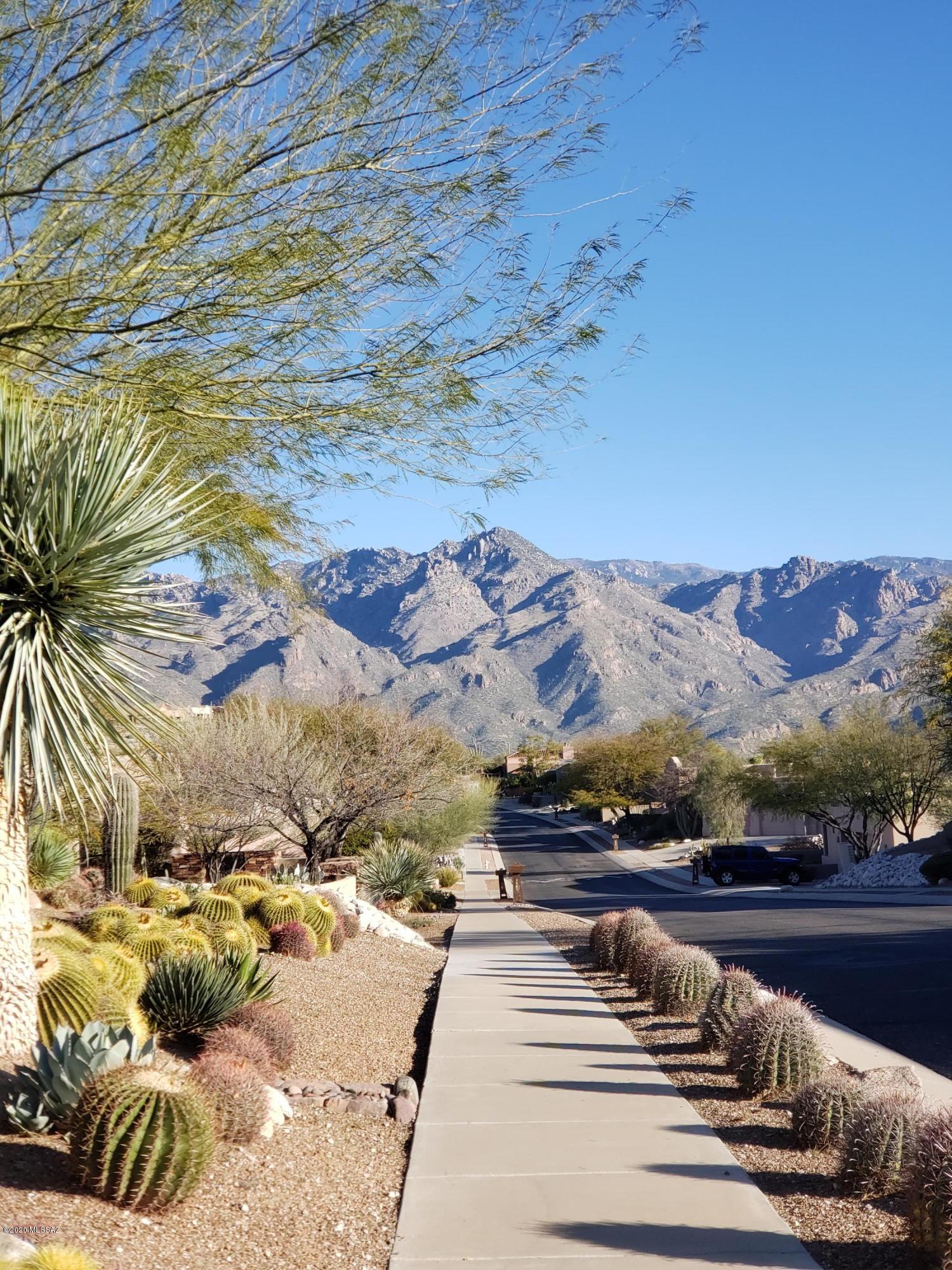 Sabino Mountain (1-290) - Residential