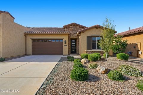 30660 S Osprey Drive Oracle AZ 85623