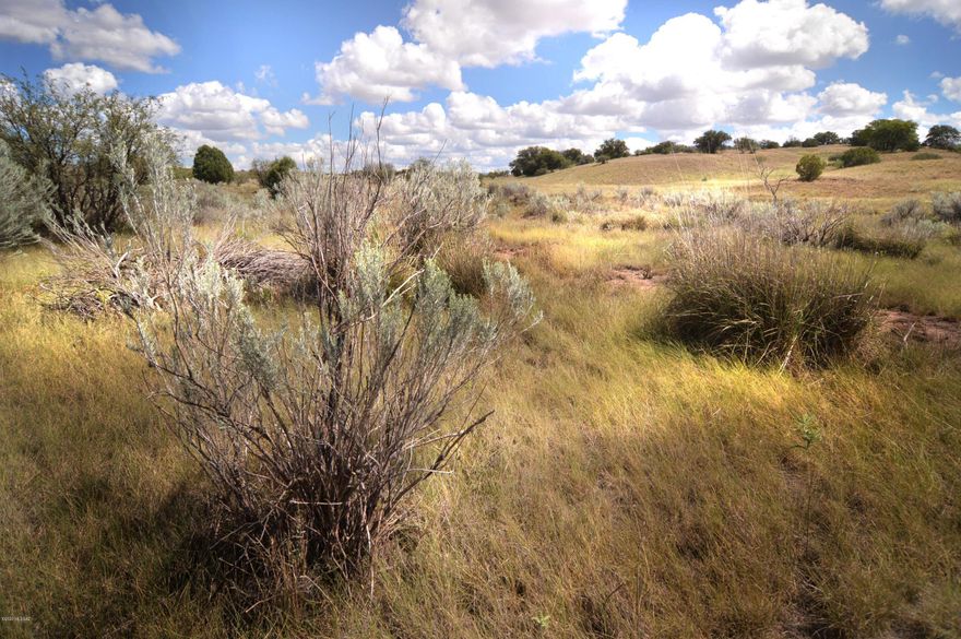 WILDLIFE CORRIDORS is an environmentally thoughtful development in the heart of Southern Arizona's Sky Islands. Recognized by the National Association of Counties for best practices in sustainable projects and programs, Wildlife Haven was designed to protect the land and wildlife while providing an exceptional community lifestyle for its residents. Each parcel has a predetermined building location/pad that is cushioned within a conservation easement, the land will continue to sustain the natural wildlife corridor and migratory bird pathway. If you are longing for tranquility, moderate temperatures, nearby recreational activities, and star-filled night skies, you will appreciate this special development. See: BorderlandsRestoration.org for more information.