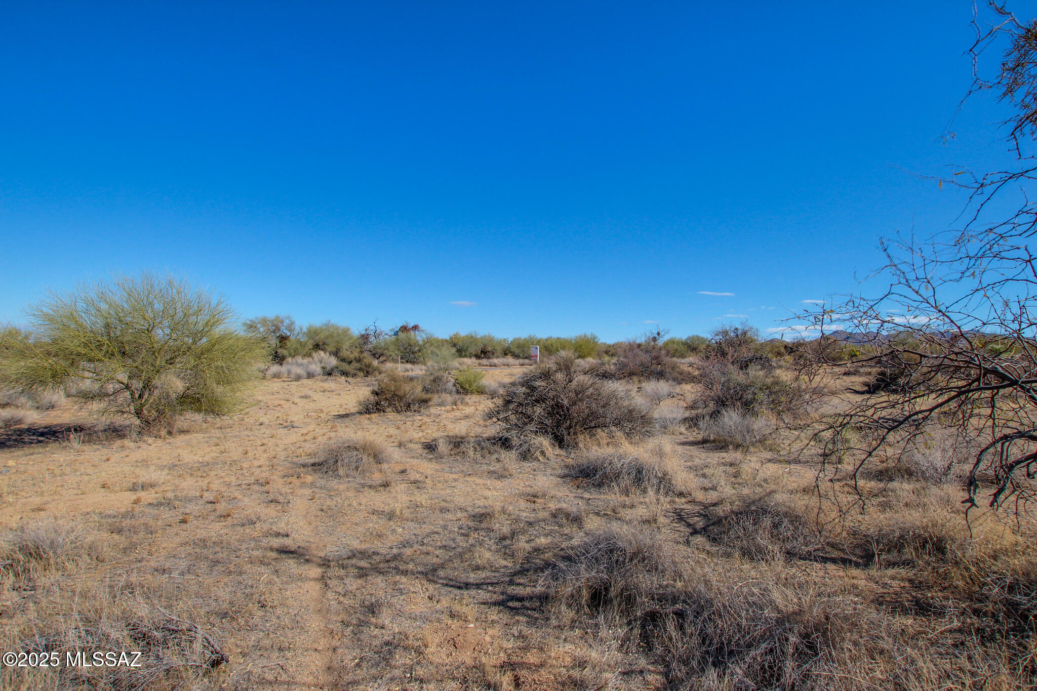 15949 W Diamond Bell Ranch Road 8