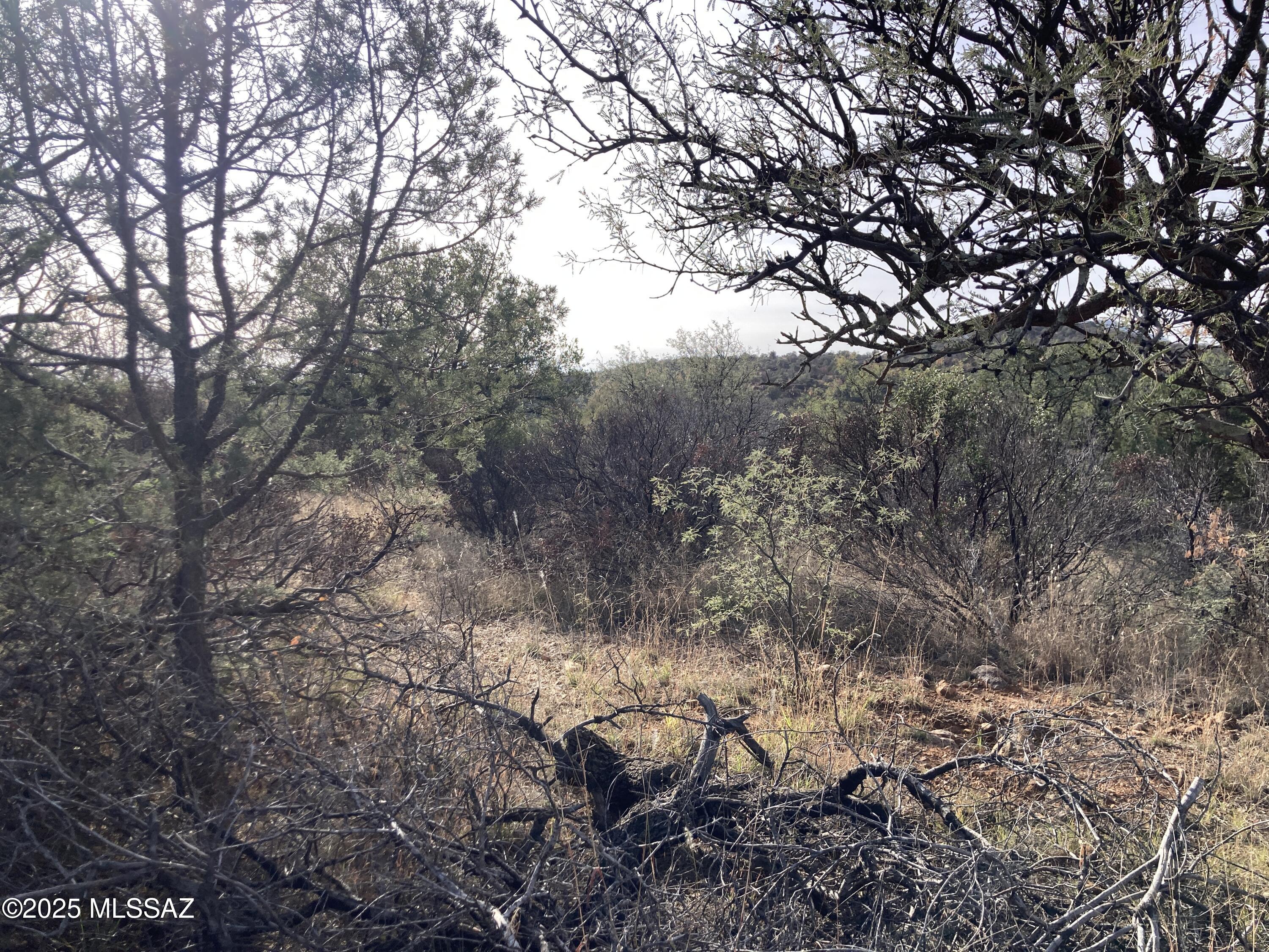 Duquense Phase #1 & #2 - Land