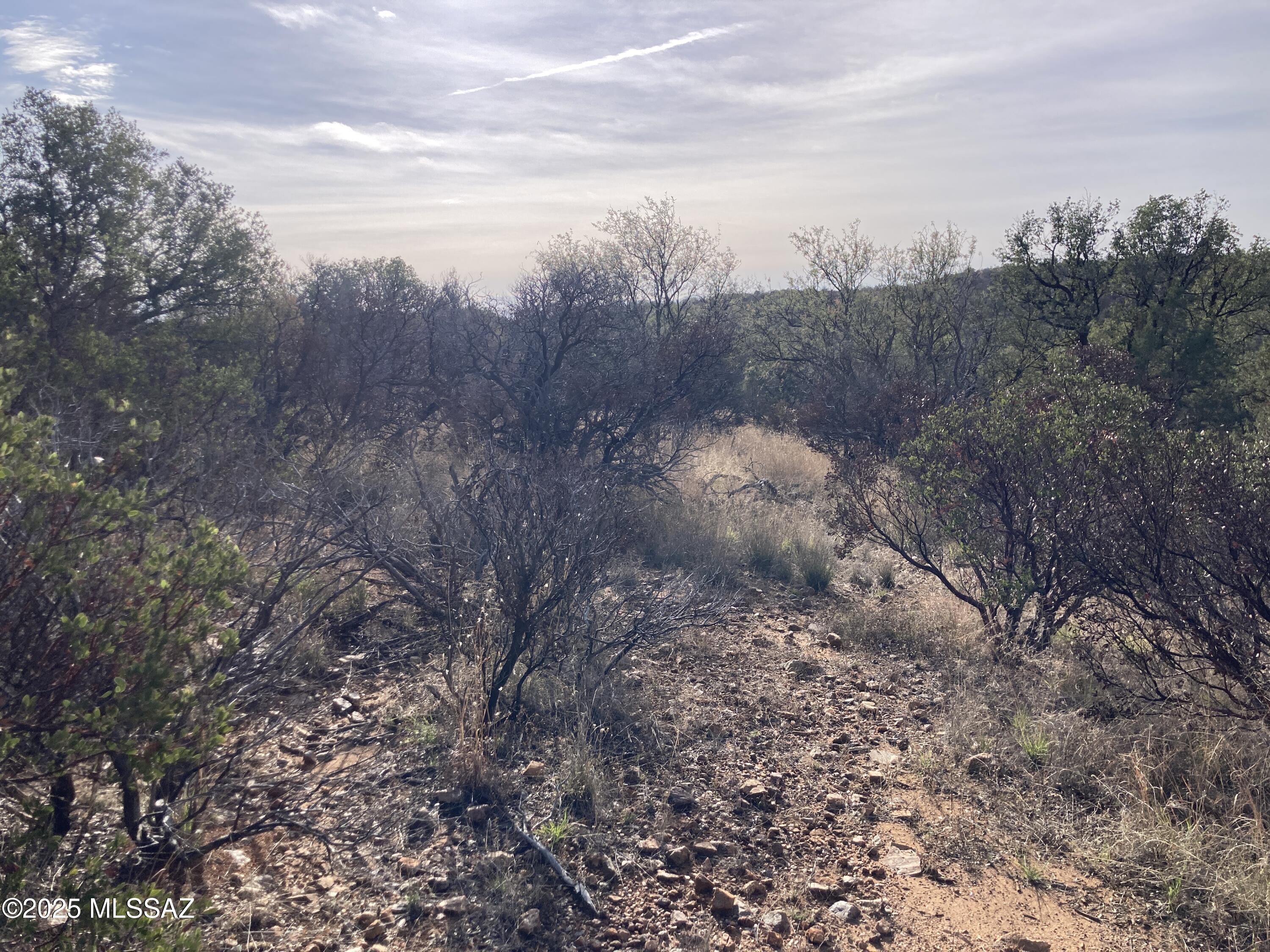 Duquense Phase #1 & #2 - Land