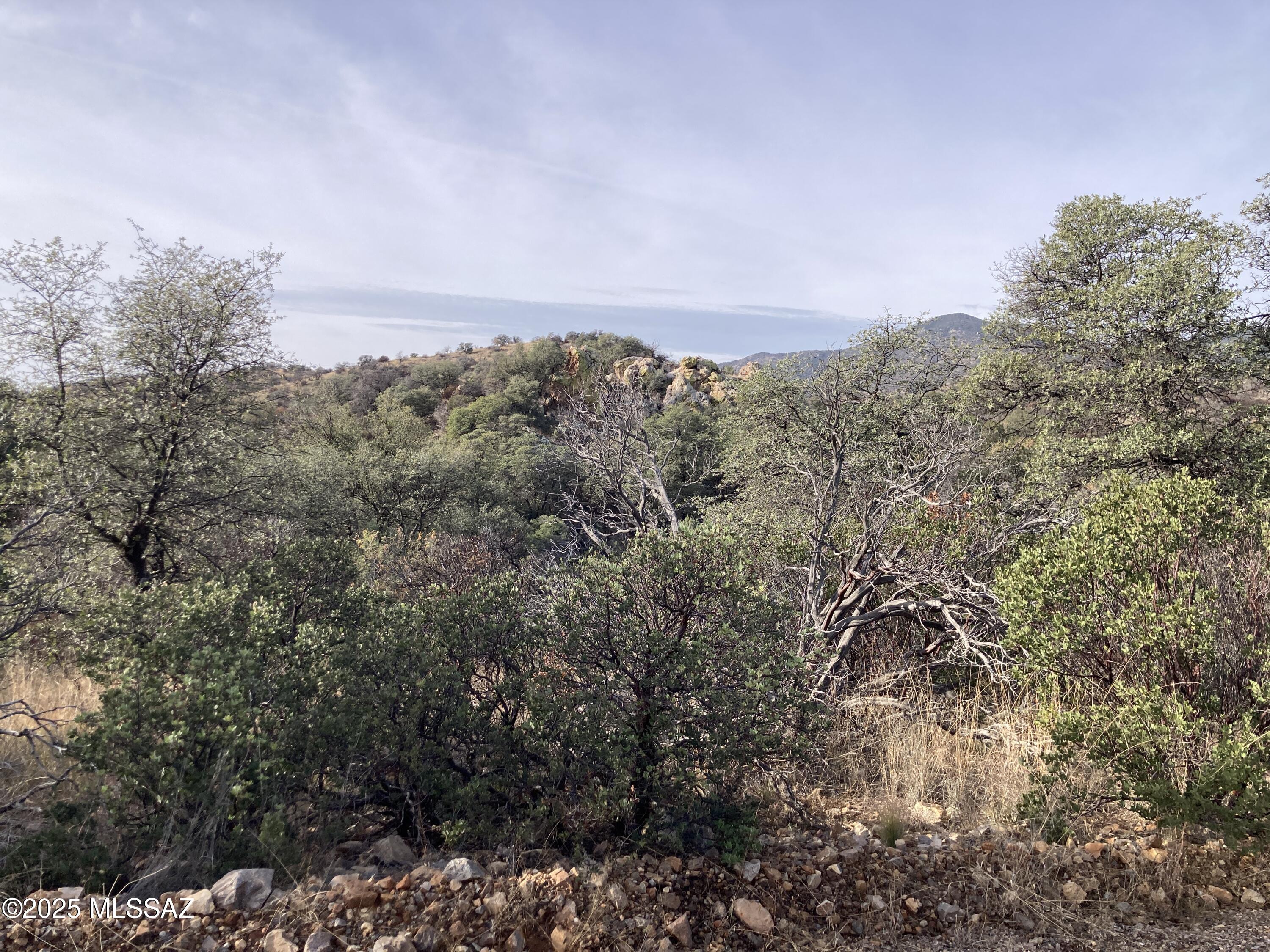 Duquense Phase #1 & #2 - Land