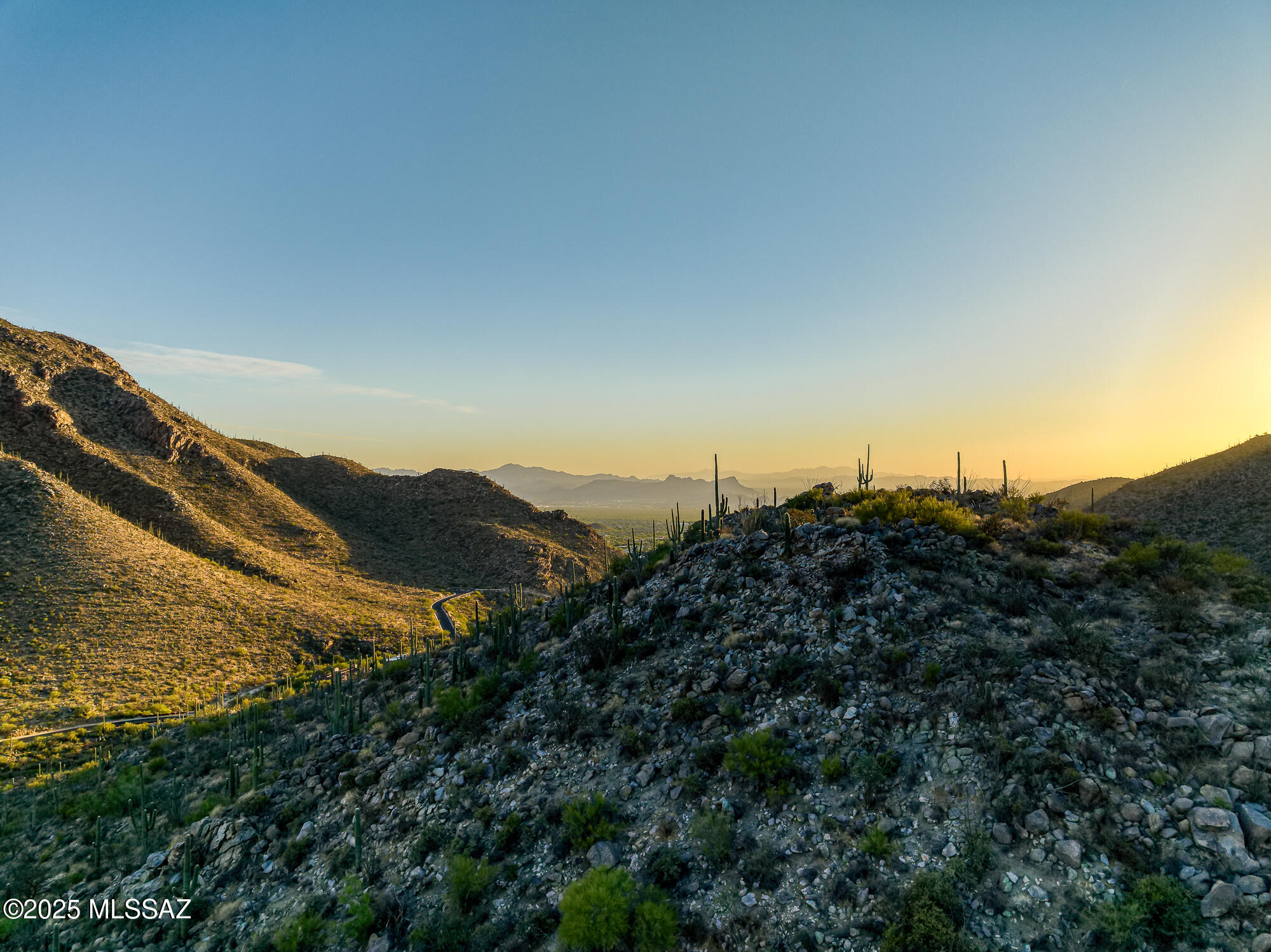 Canyon Pass II At Dove Mountain (49-110) - Land