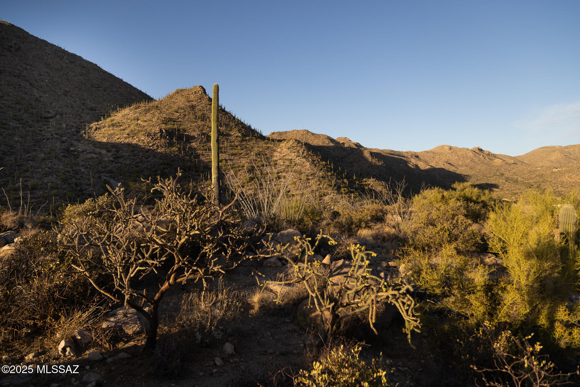 Canyon Pass II At Dove Mountain (49-110) - Land