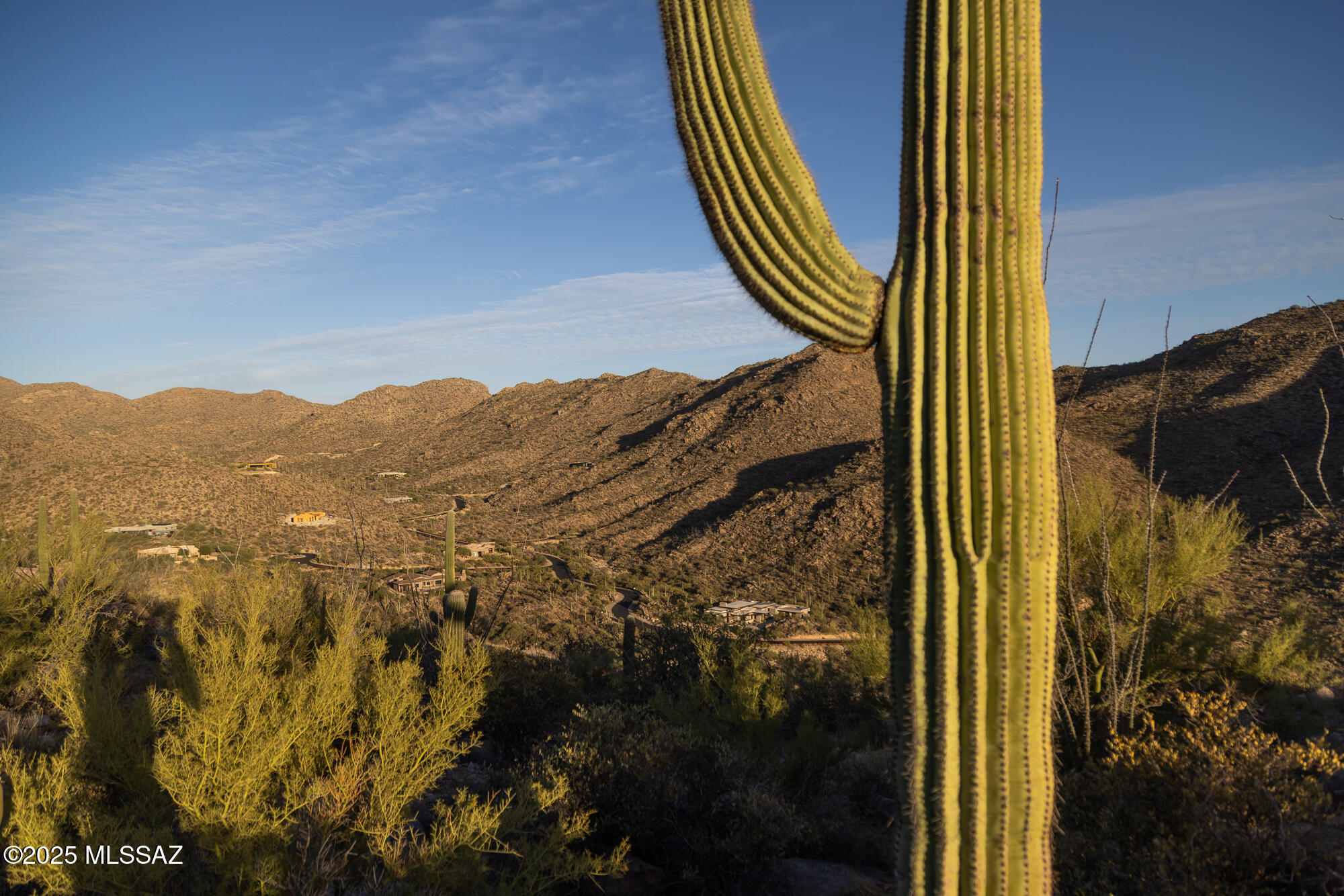 Canyon Pass II At Dove Mountain (49-110) - Land