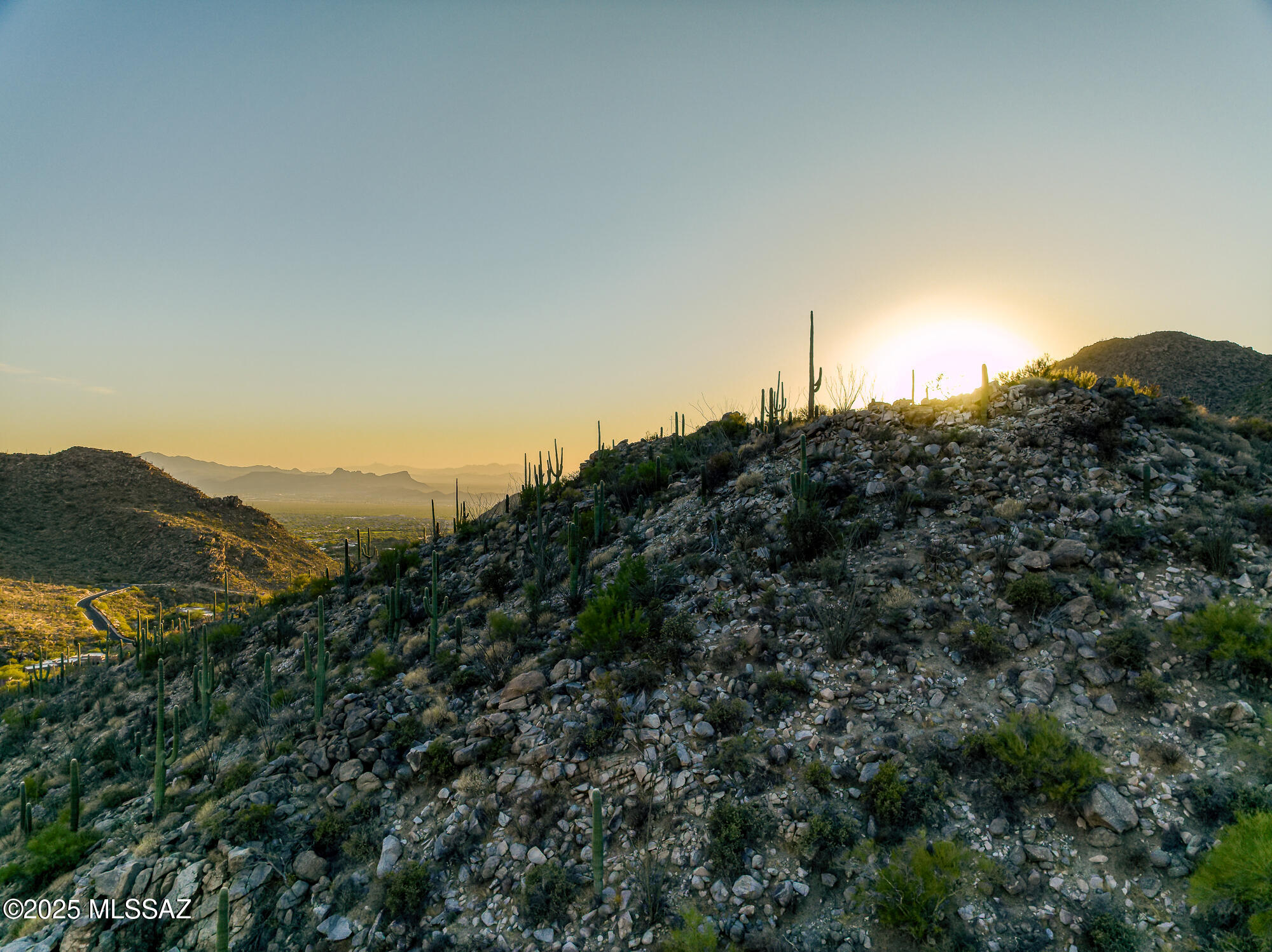 Canyon Pass II At Dove Mountain (49-110) - Land