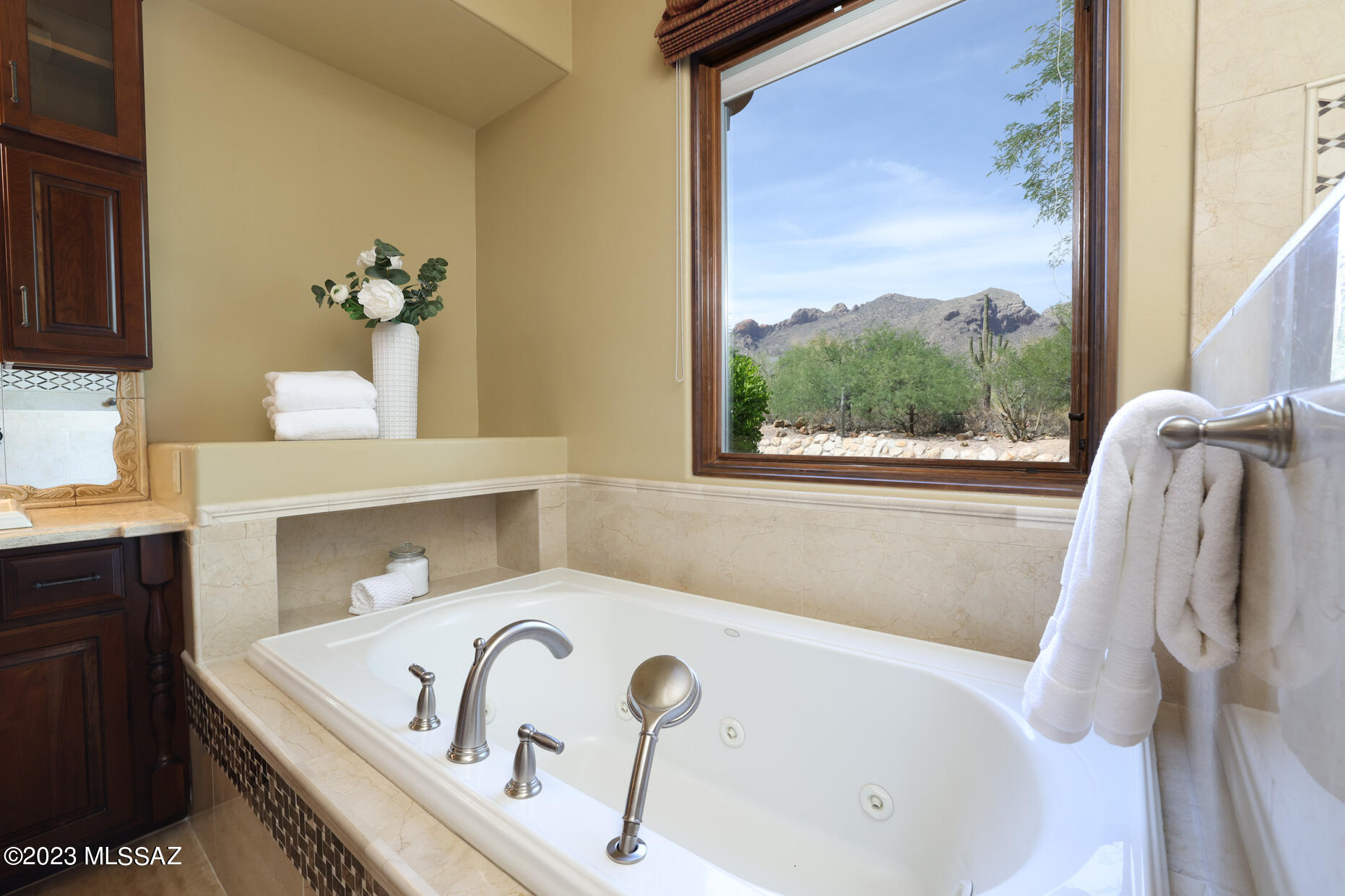 Pima Canyon Estates (309-323) - Residential