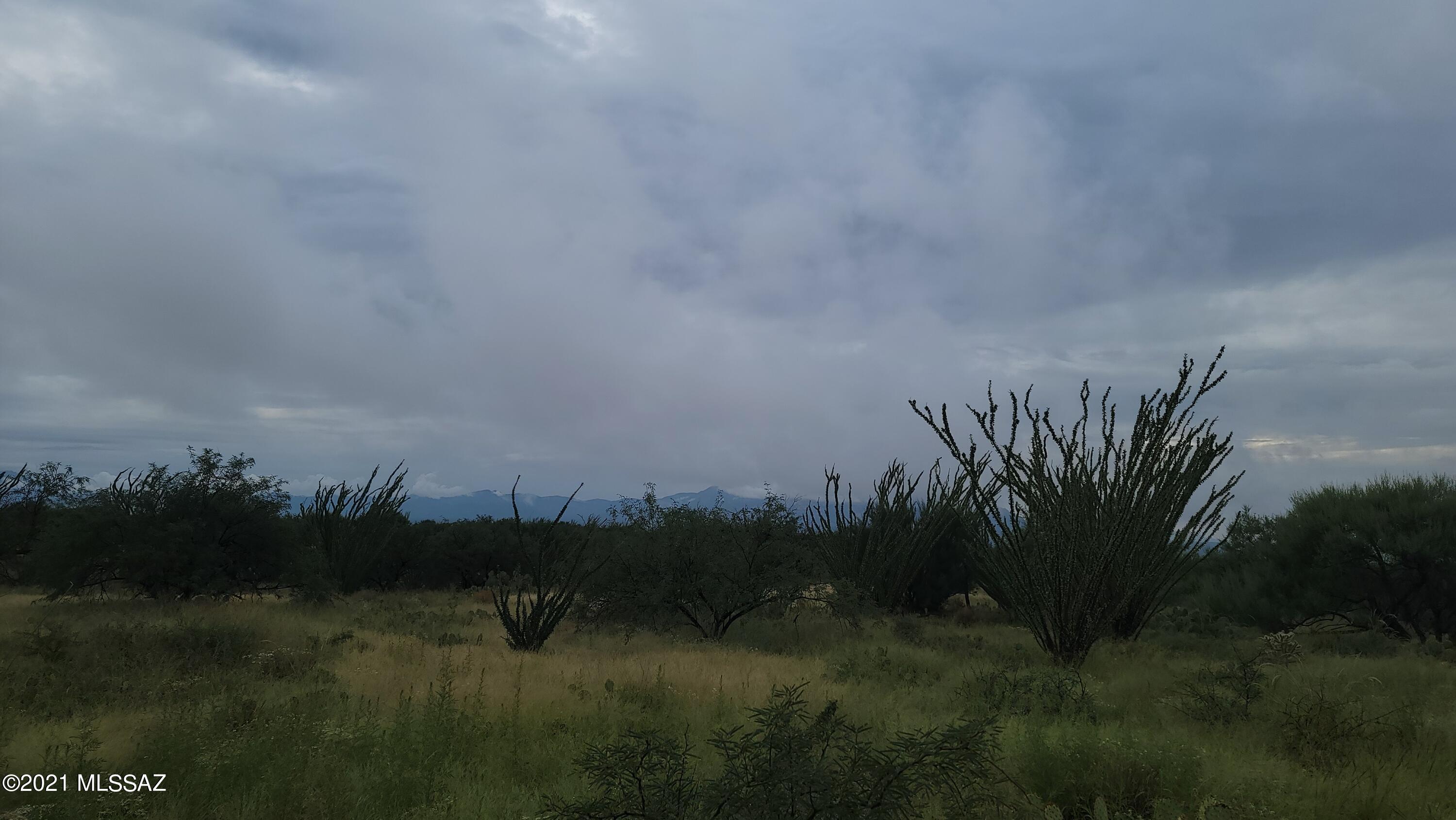 Diamond Bell Ranch - Tucson Unit 8 (1-385) - Land