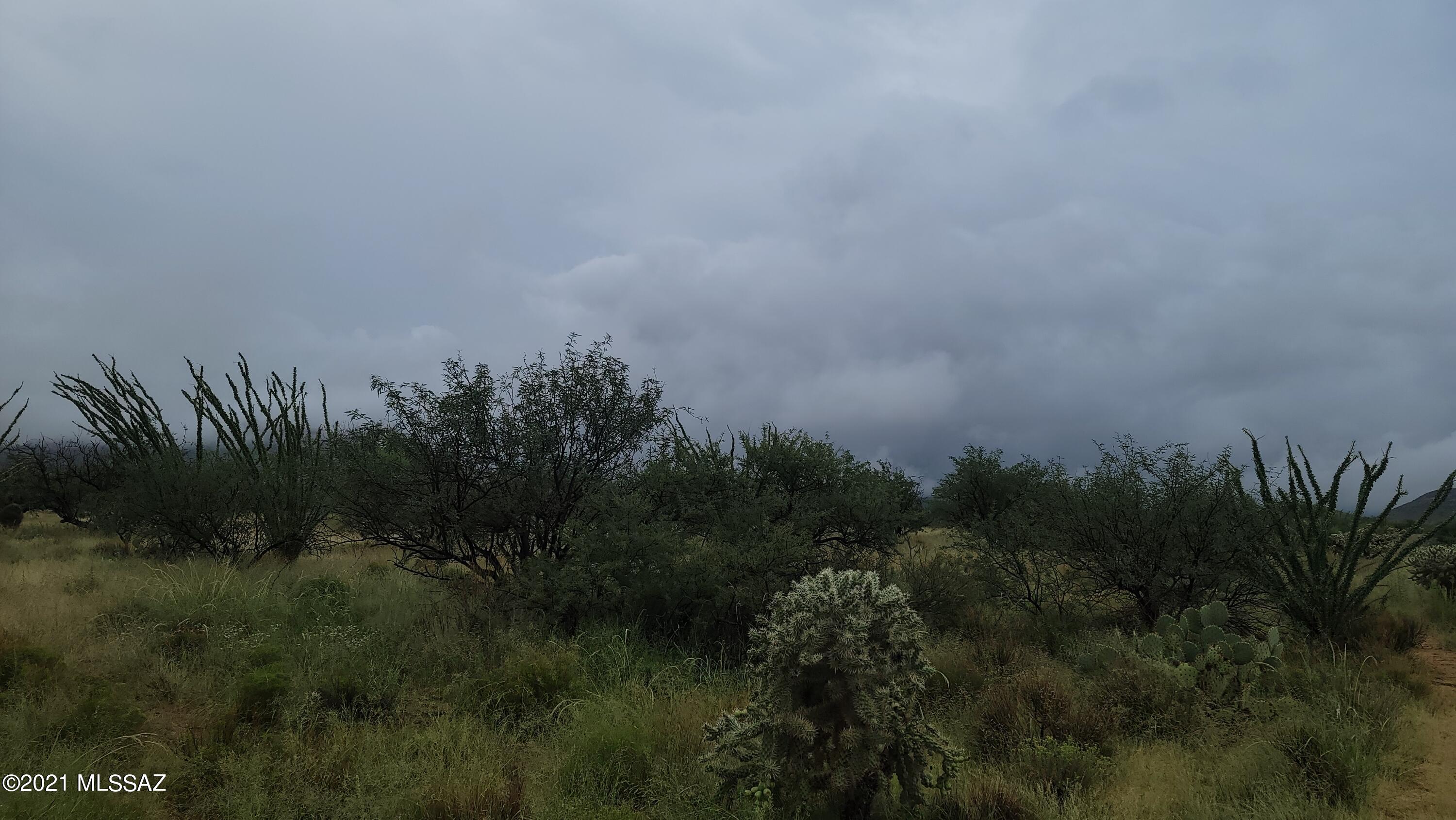 Diamond Bell Ranch - Tucson Unit 8 (1-385) - Land