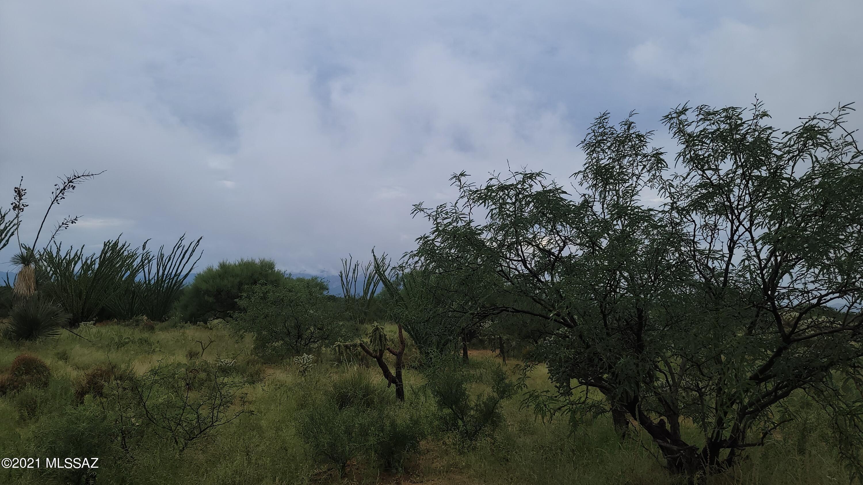 Diamond Bell Ranch - Tucson Unit 8 (1-385) - Land