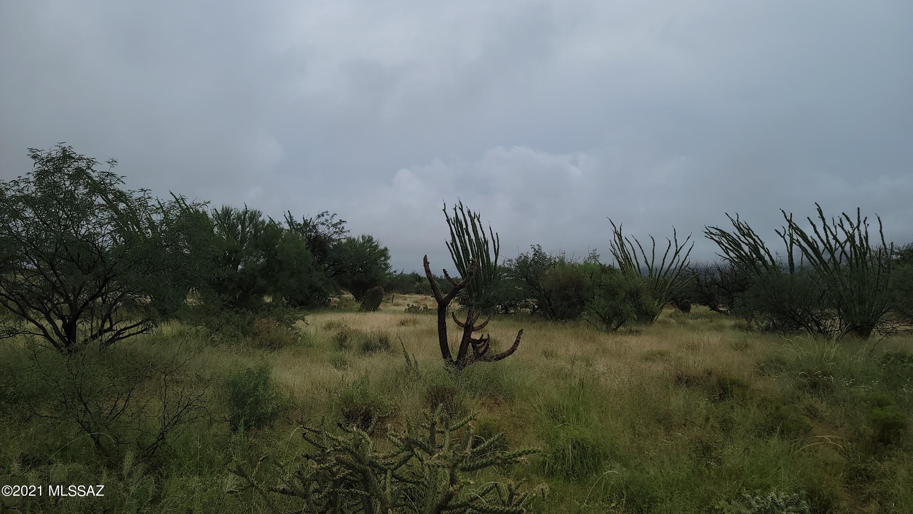 Diamond Bell Ranch - Tucson Unit 8 (1-385) - Land