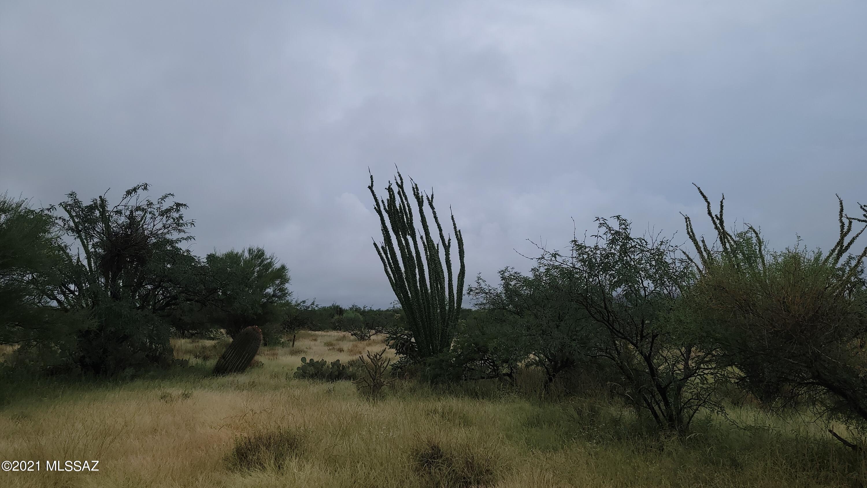 Diamond Bell Ranch - Tucson Unit 8 (1-385) - Land